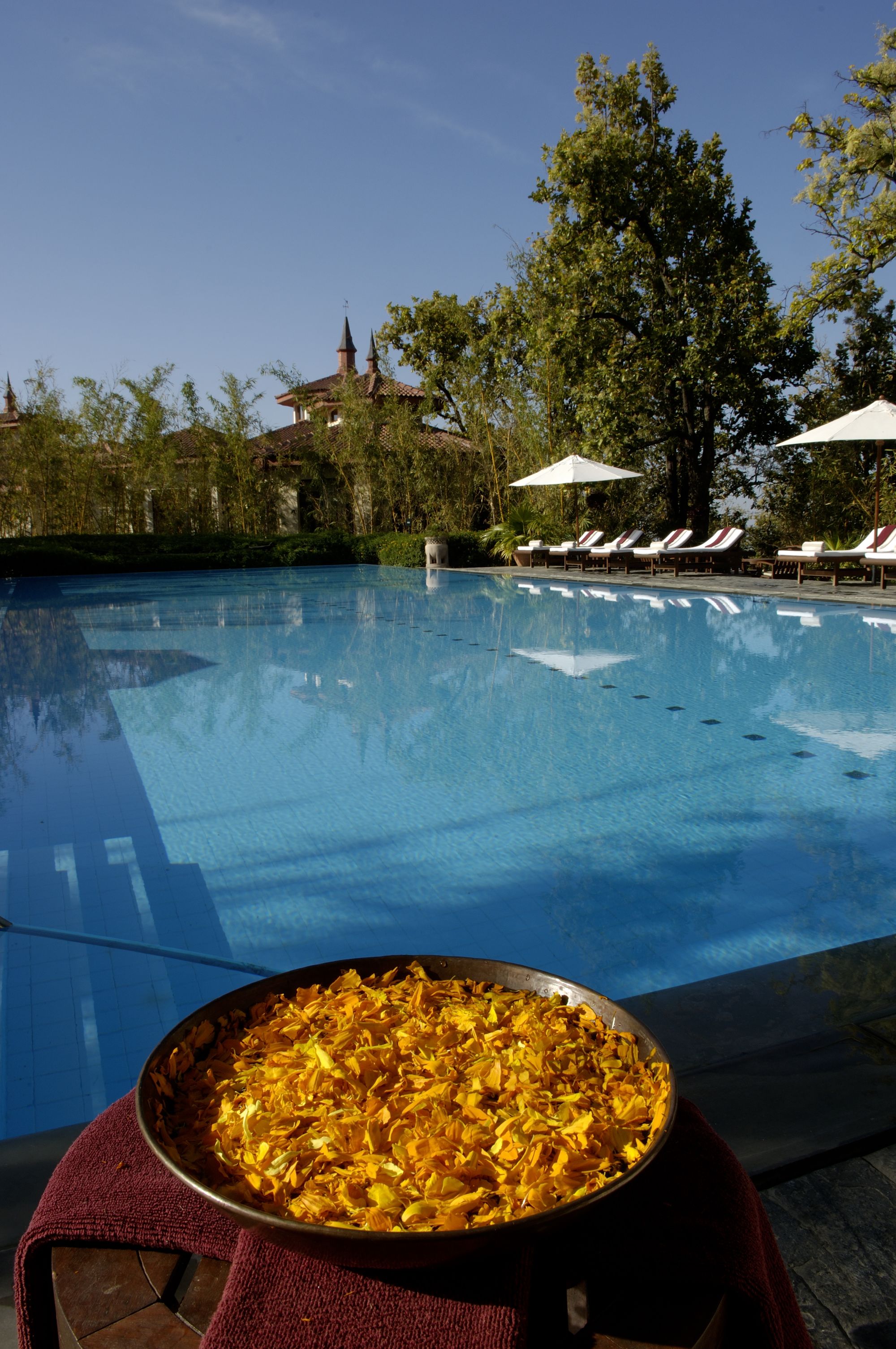 Ananda in the Himalayas in Rishikesh: Pool