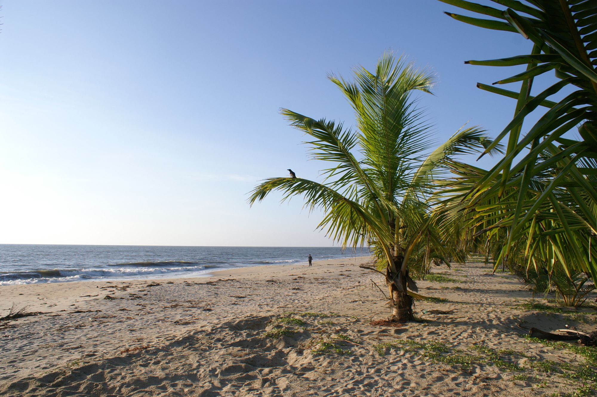 Marari Beach Resort in Mararikulam:  Mararikulam Beach