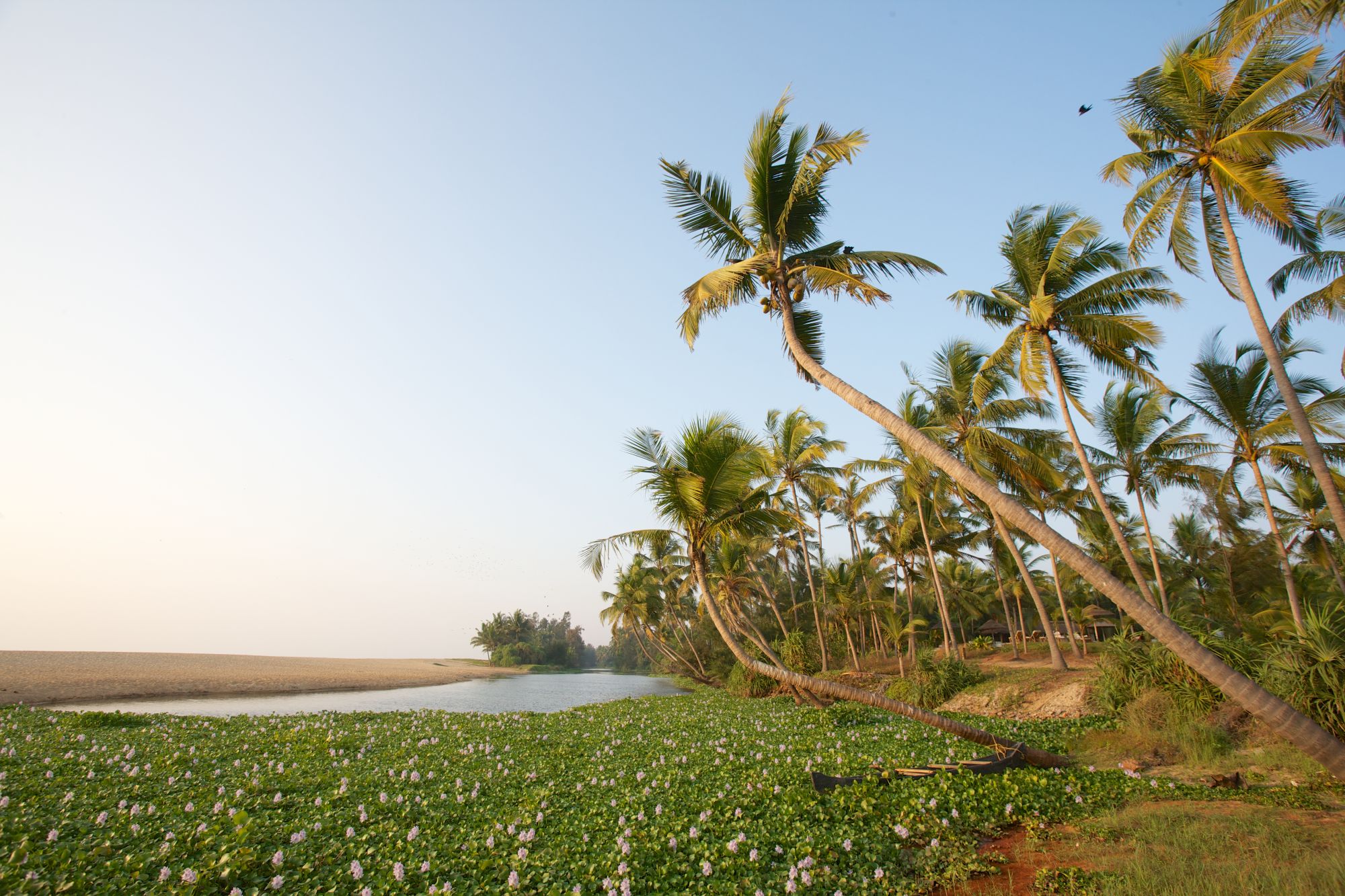 Neeleshwar Hermitage: Beach