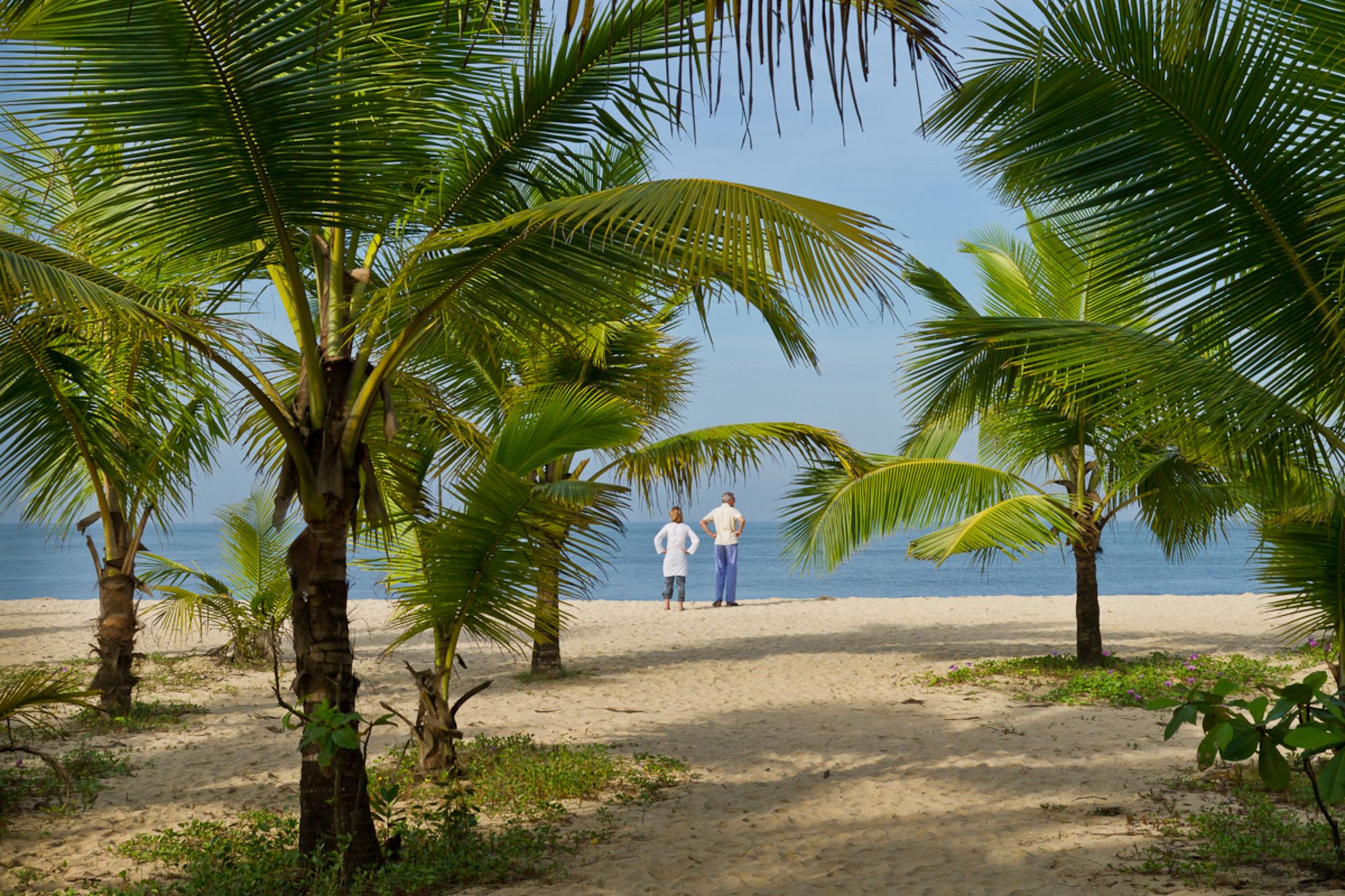 Marari Beach Resort in Mararikulam:  Marari Beach