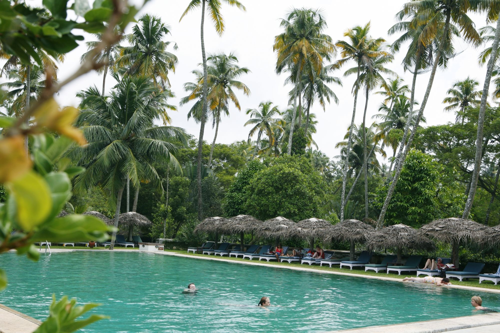 Marari Beach Resort in Mararikulam: pool: 