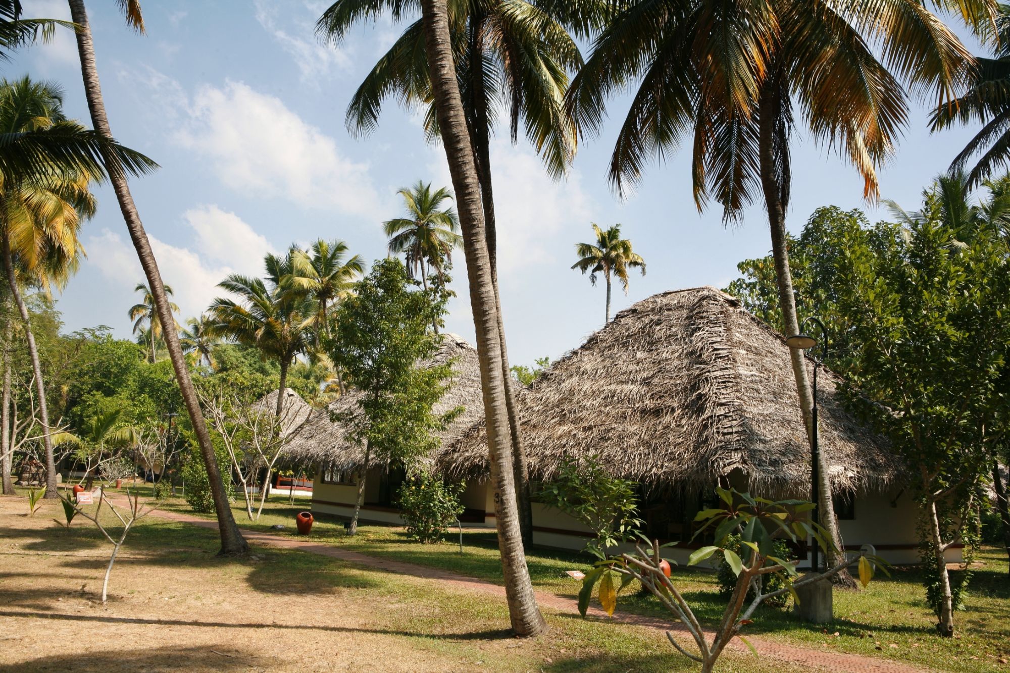 Marari Beach Resort in Mararikulam:  Garden