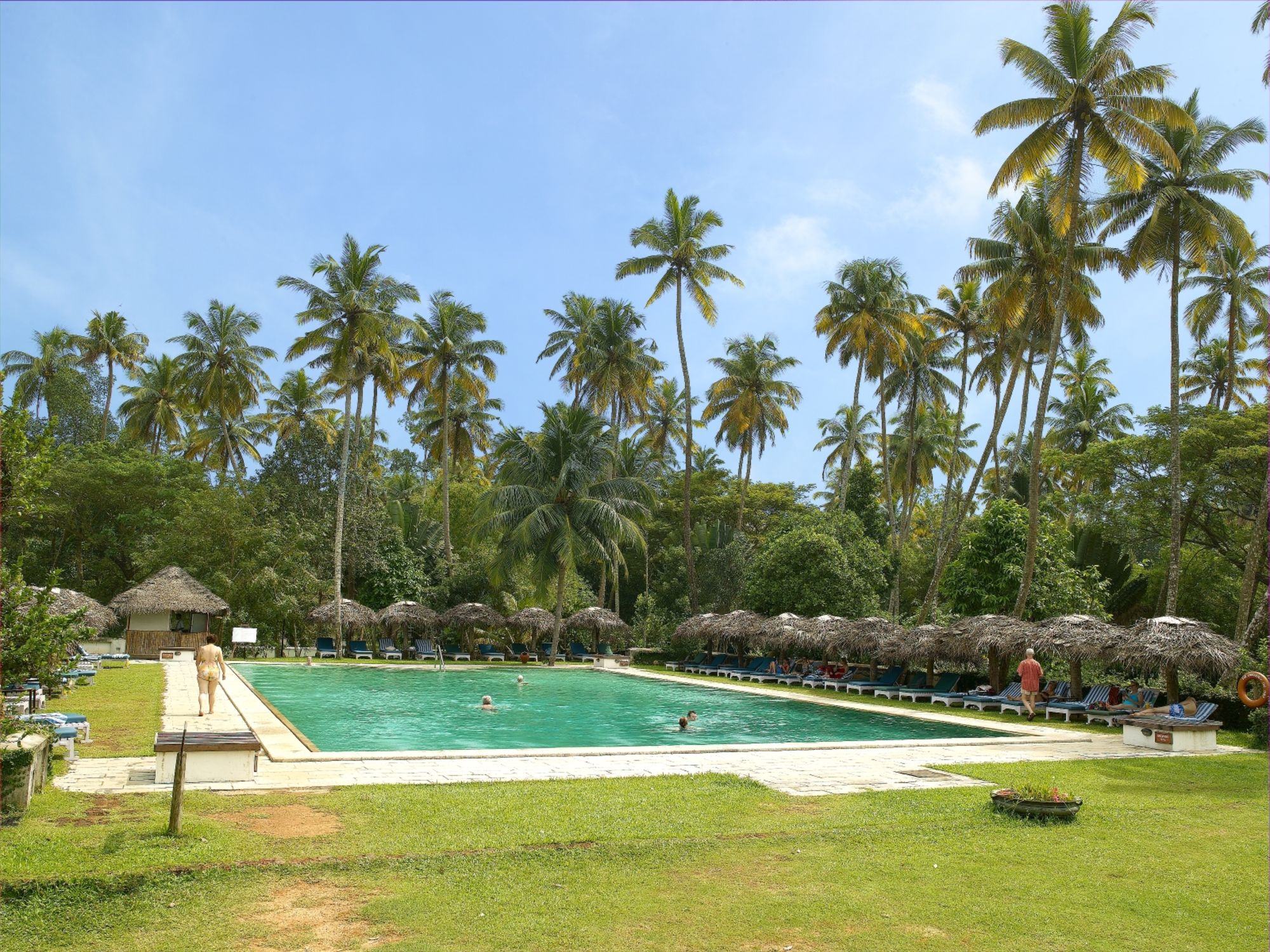 Marari Beach Resort in Mararikulam: pool: 