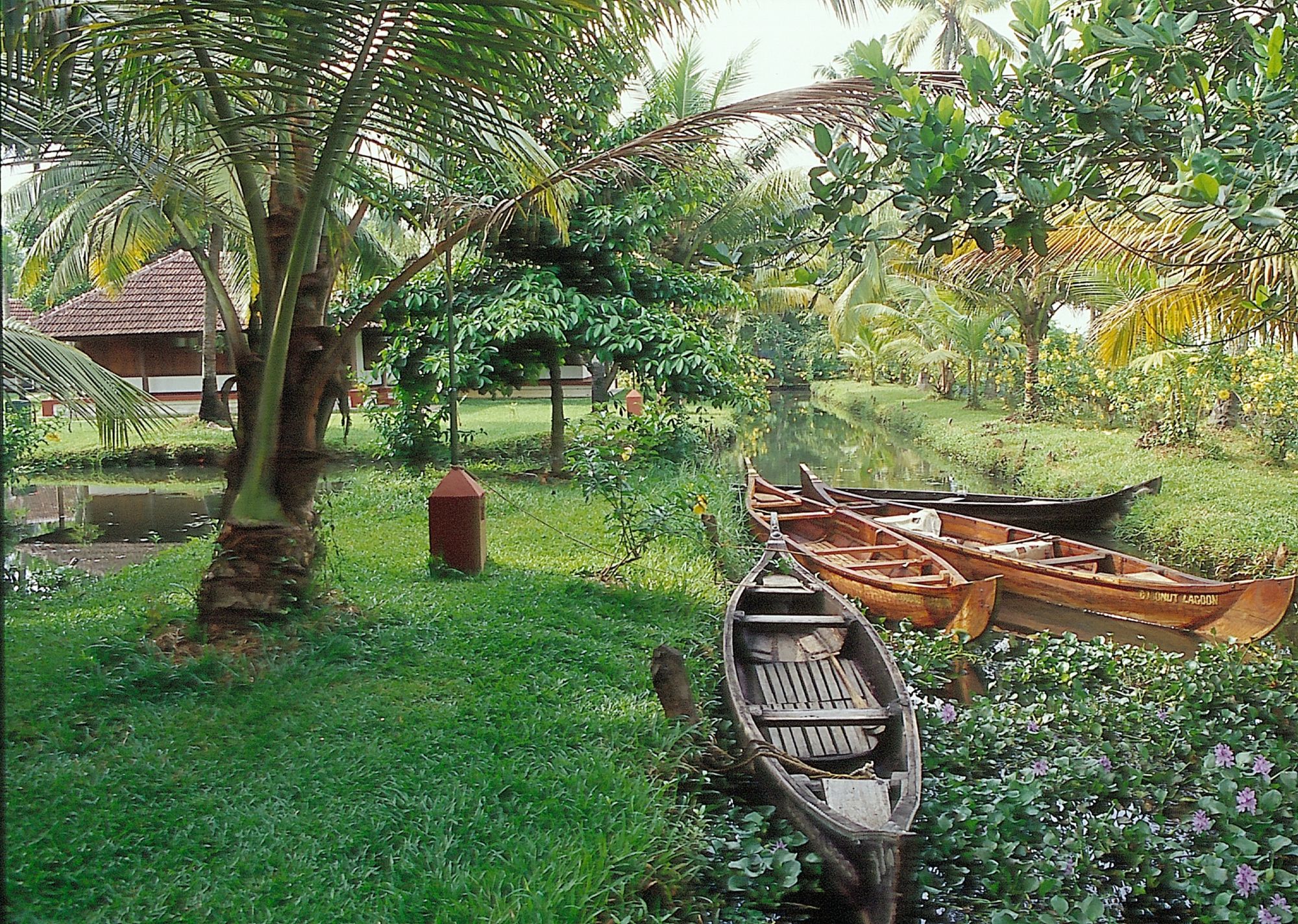 Coconut Lagoon in Kumarakom:  Garden