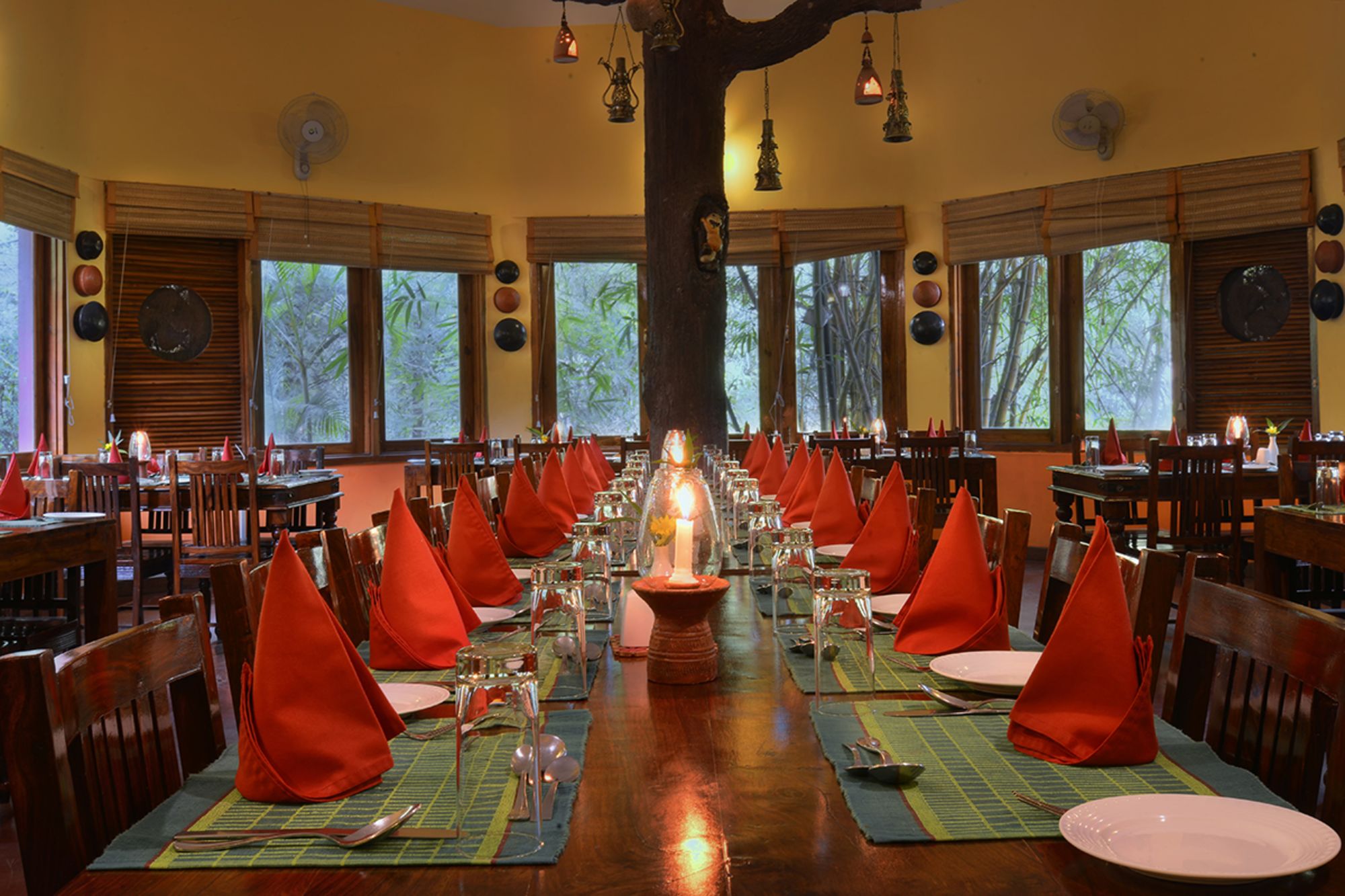 Pench Jungle Camp: f&b: