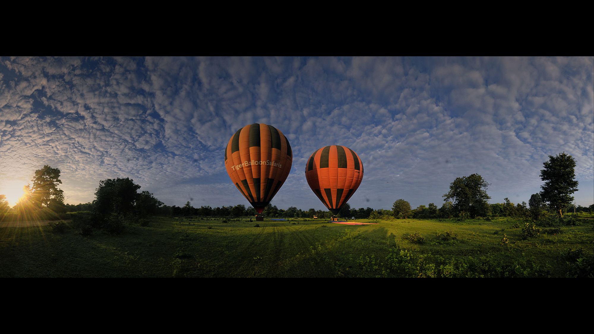 Pench Jungle Camp: activities:
