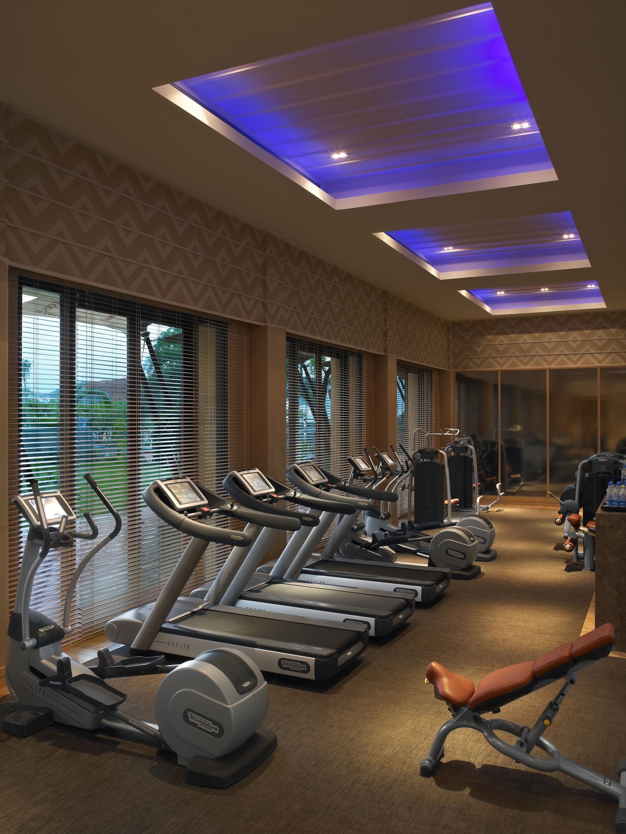 The Leela Palace in Udaipur: Gym