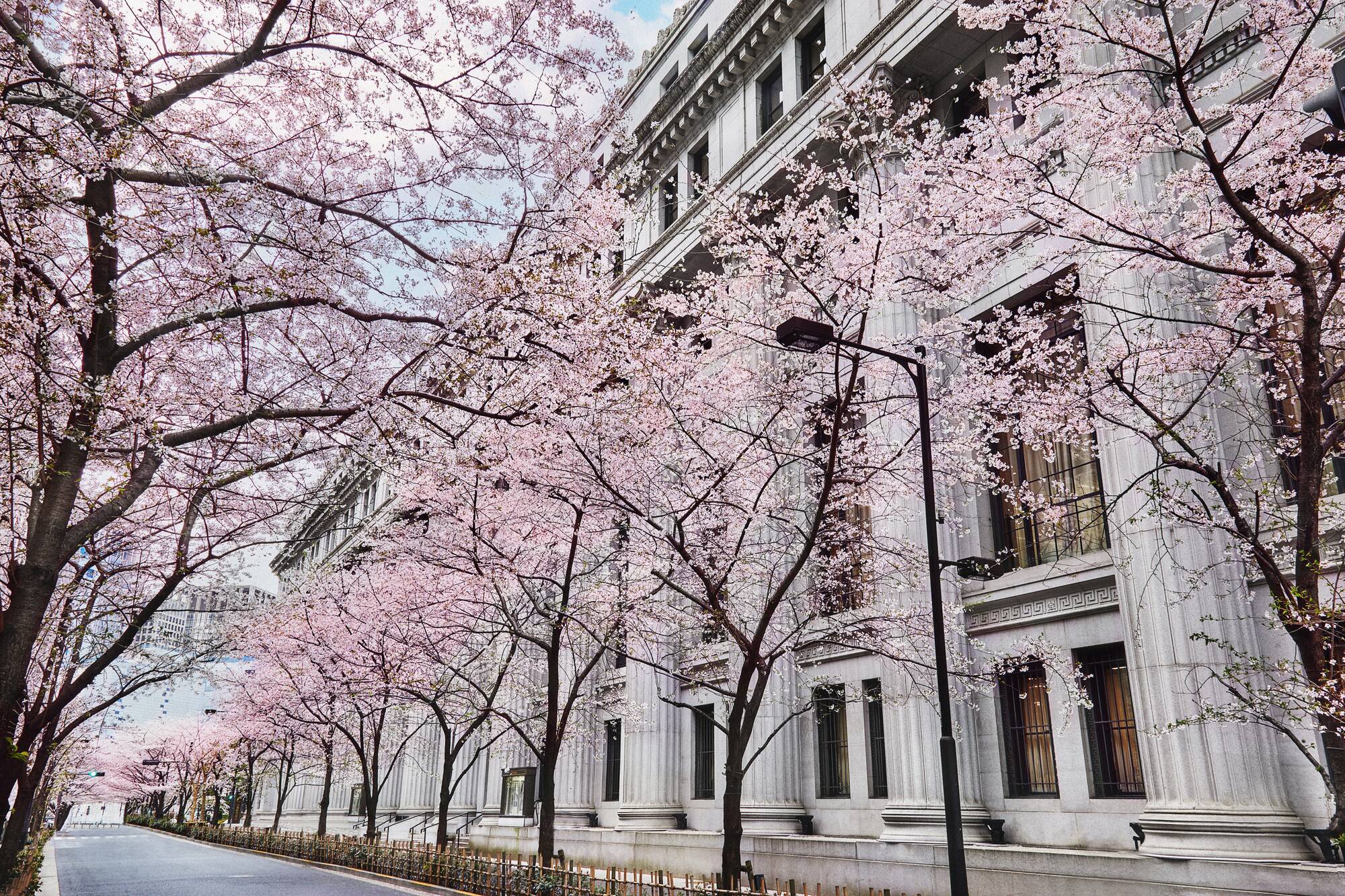 Mandarin Oriental in Tokio: Mandarin Oriental during Sakura on Edo Street