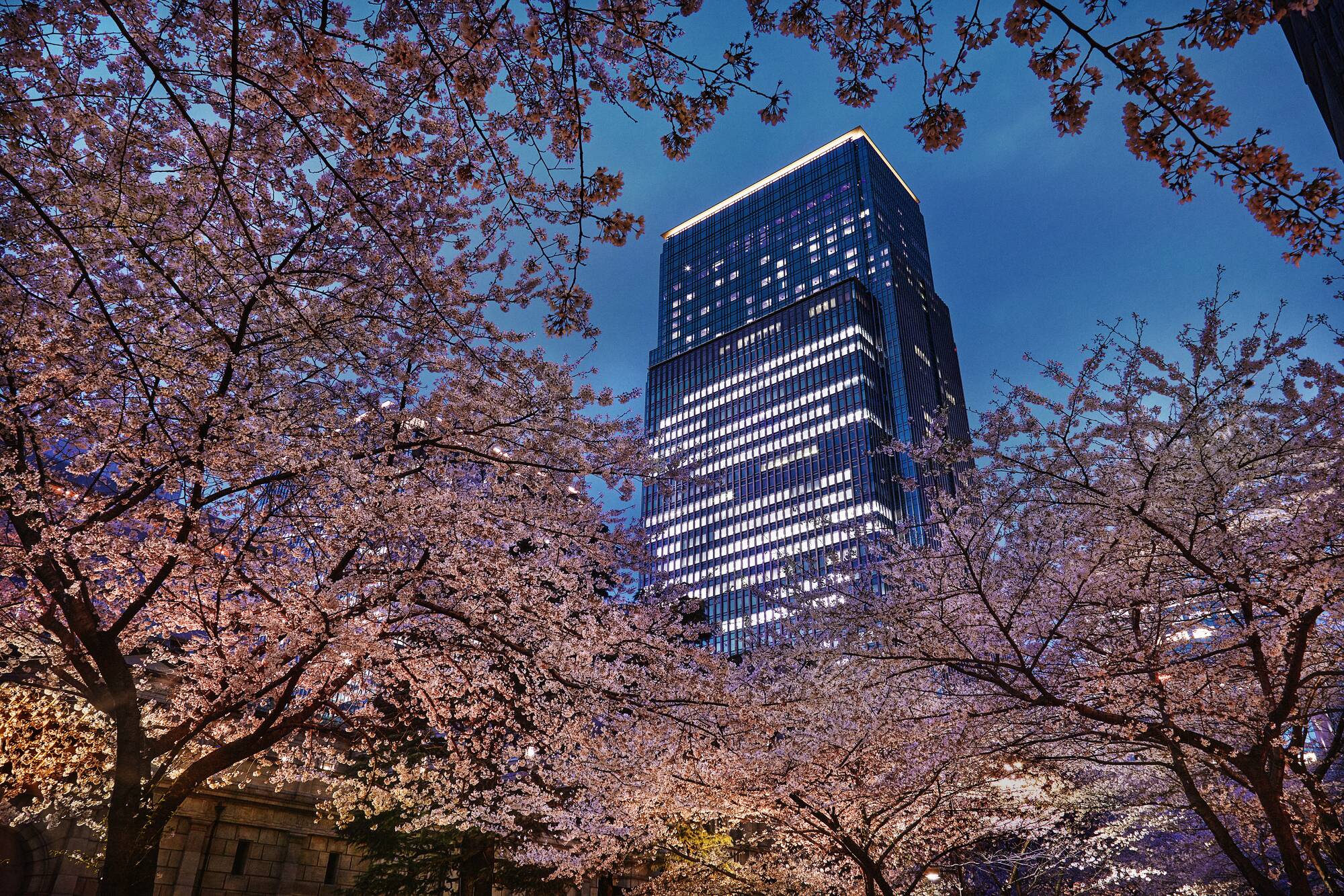 Mandarin Oriental in Tokio: Mandarin Oriental Building during cherry blossom