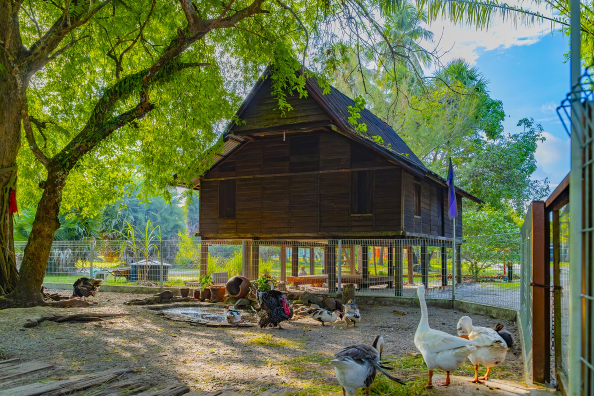 Pelangi Beach Resort & Spa à Langkawi: Kids Club