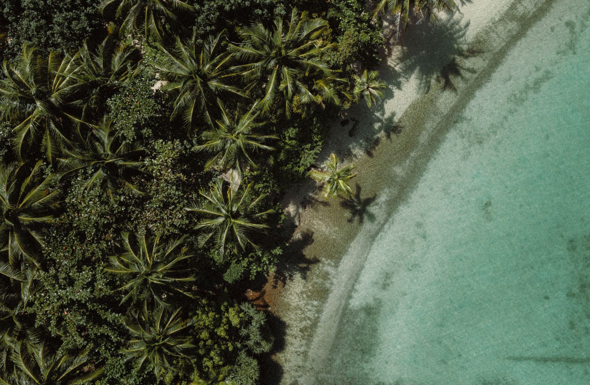 Song Saa Private Island à Koh Rong: Aerial photo Vista