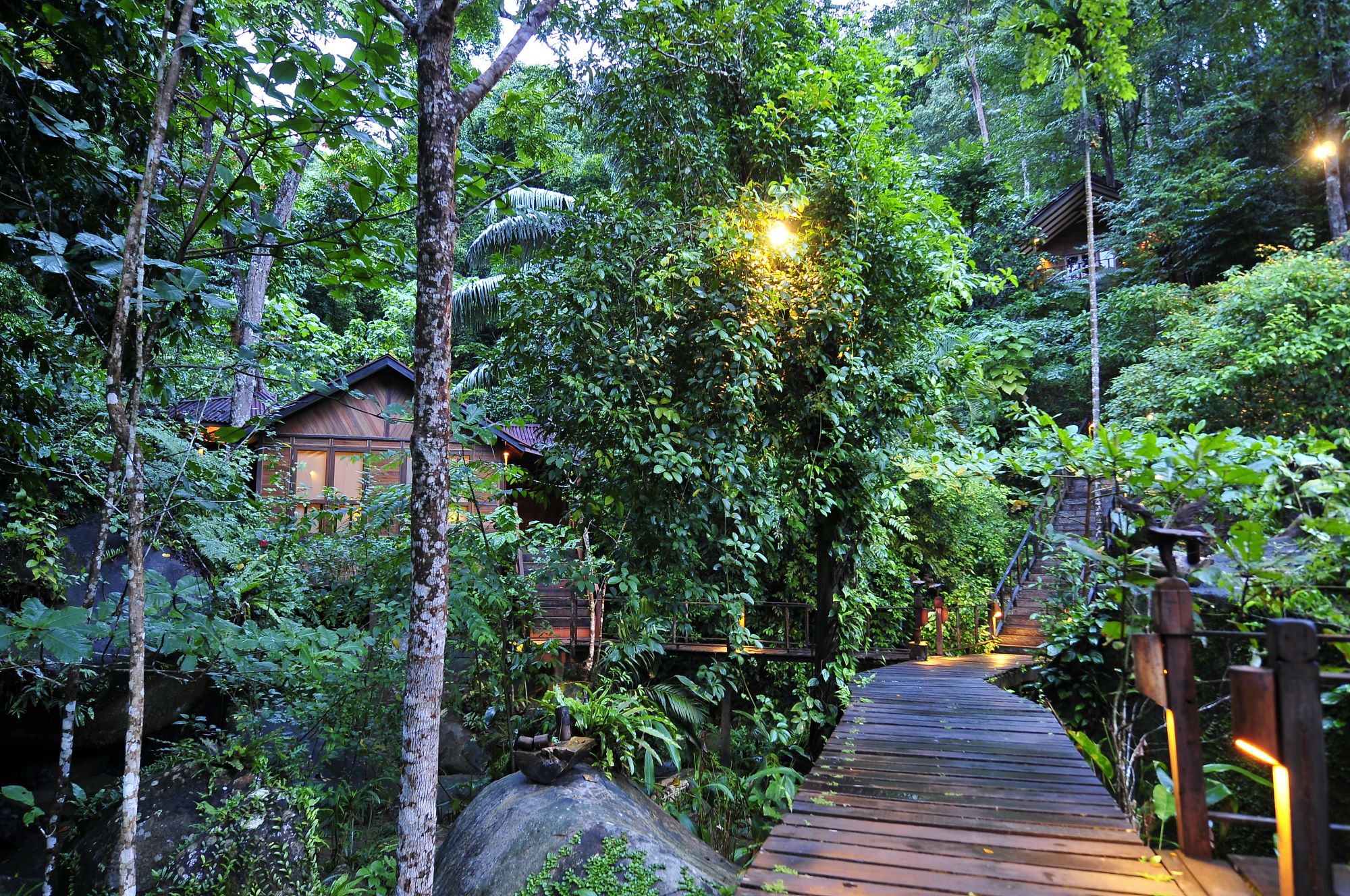 Japamala Resort in Tioman:  Garden