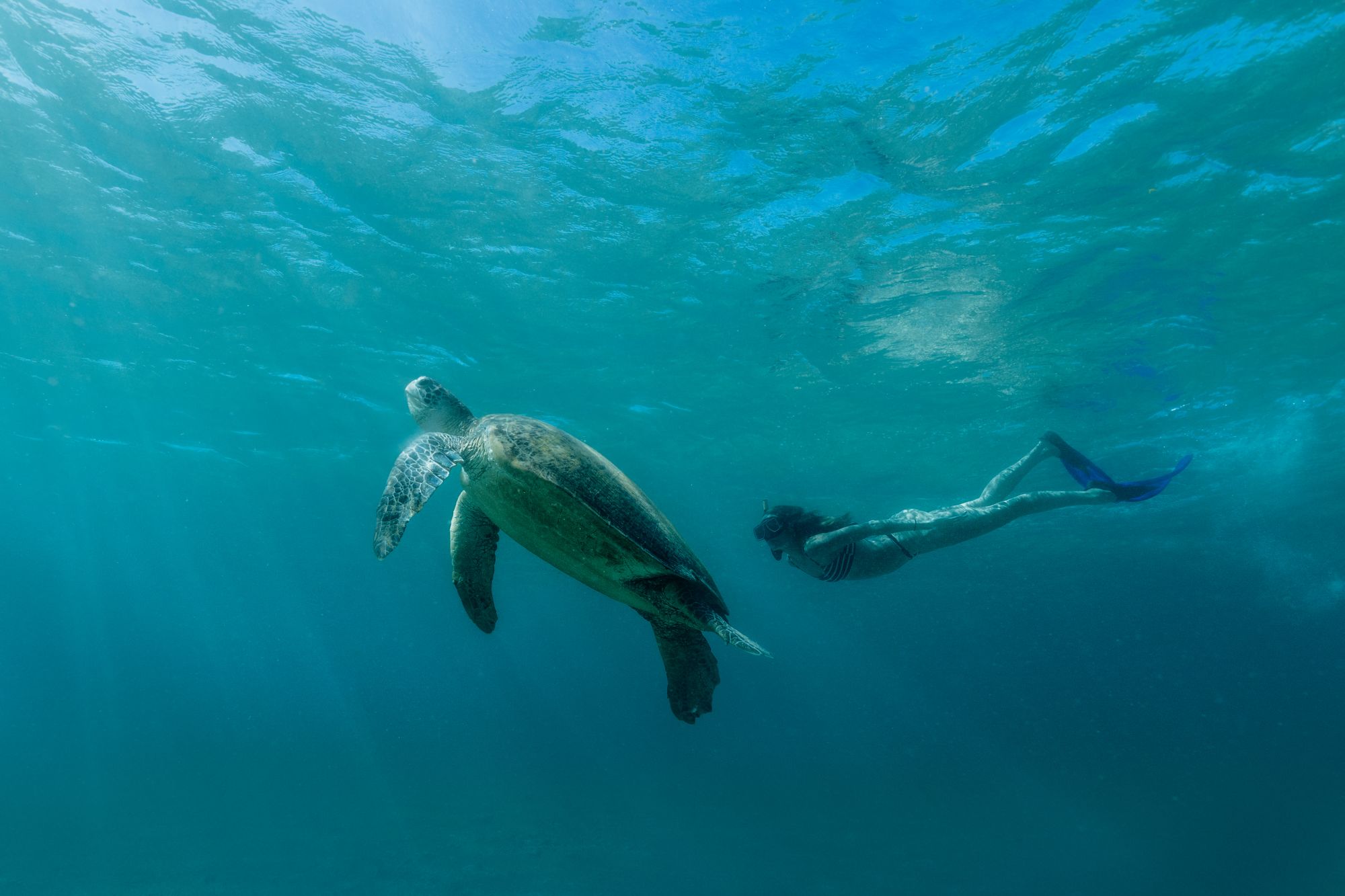 Amanpulo in Palawan: Snorkeling