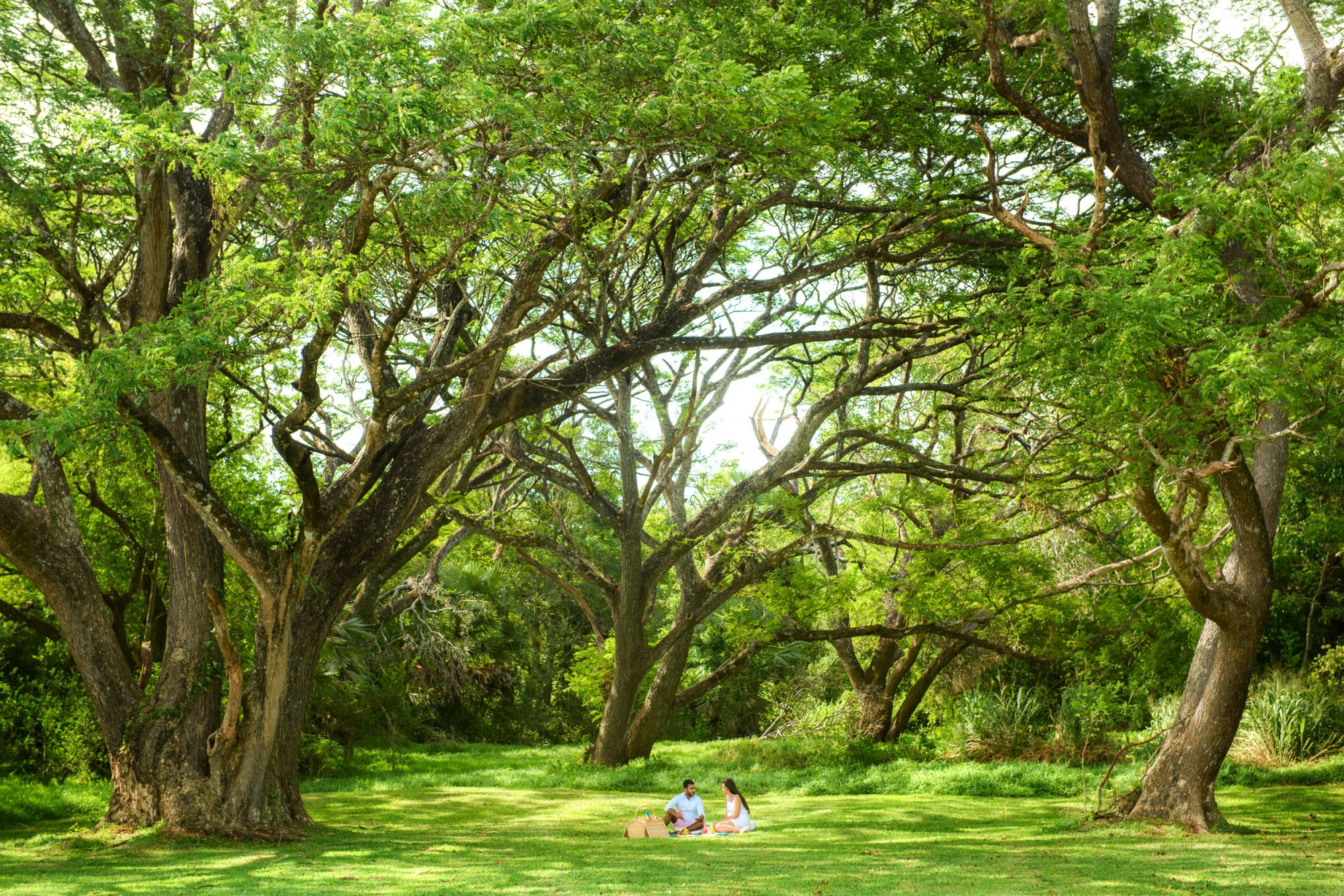 Uga Ulagalla à Anuradhapura: Picnic