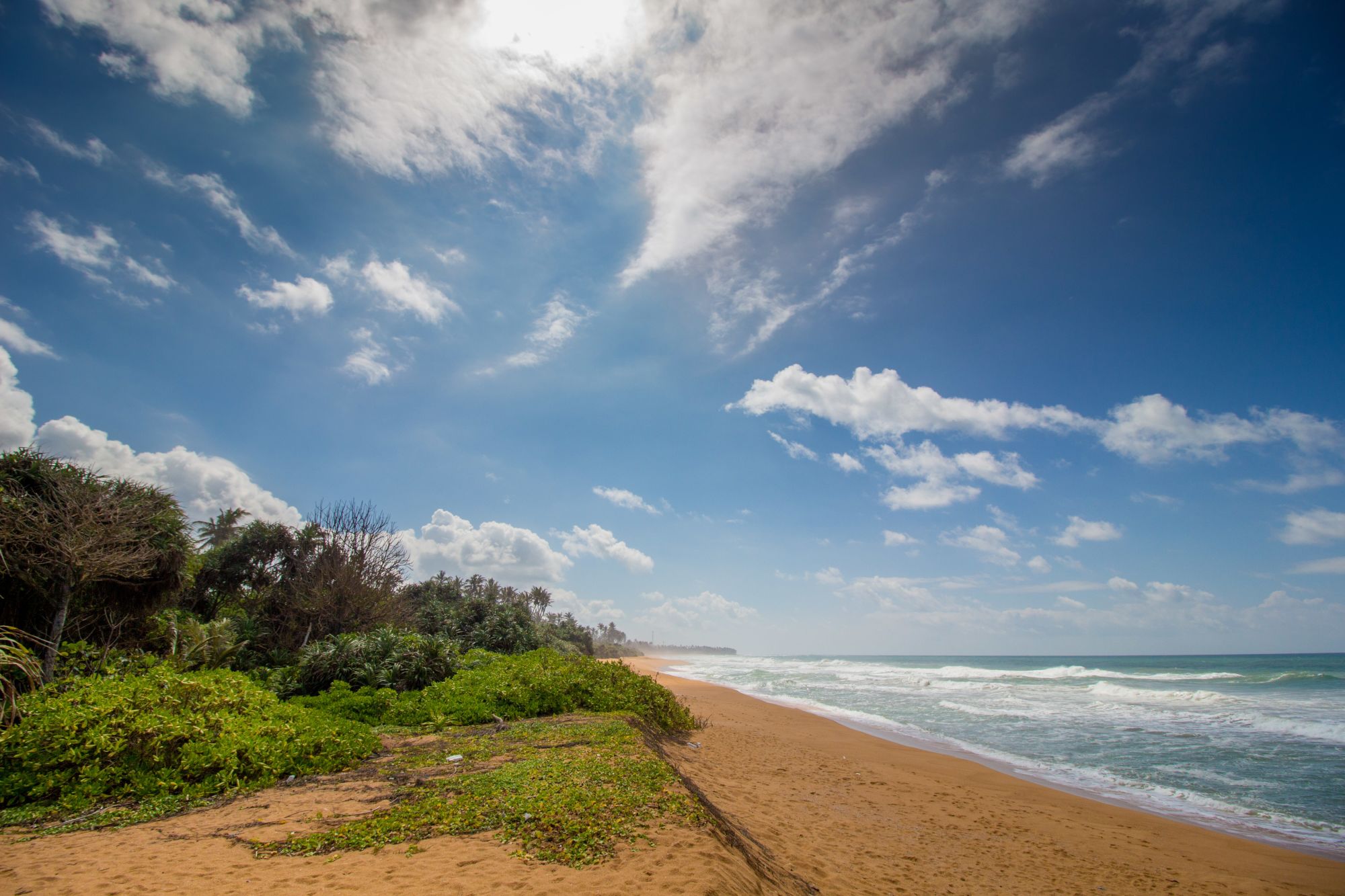 Aditya Resort in Hikkaduwa: Beach