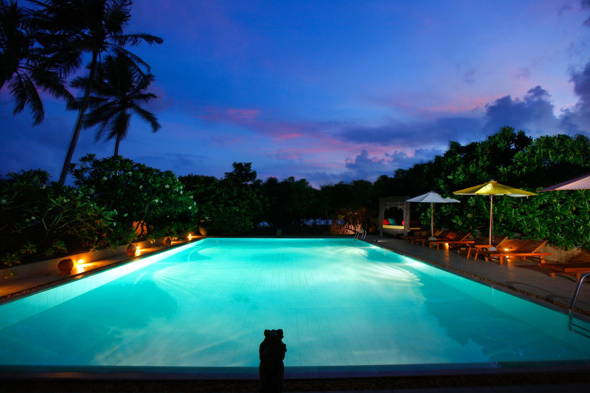 Aditya Resort in Hikkaduwa: Pool