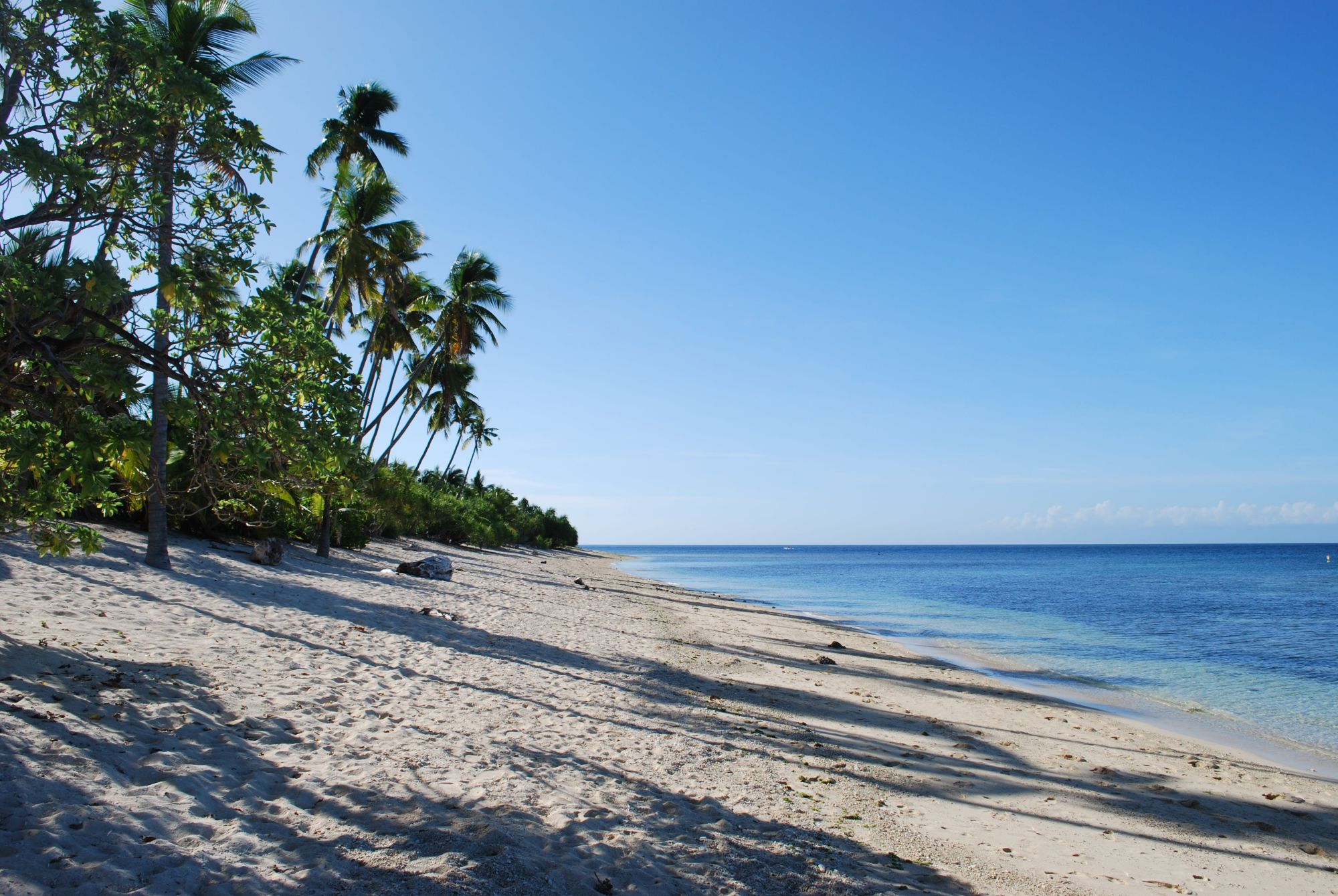 Coco Grove Beach Resort à Siquijor: Siquijor Coco Grove beach