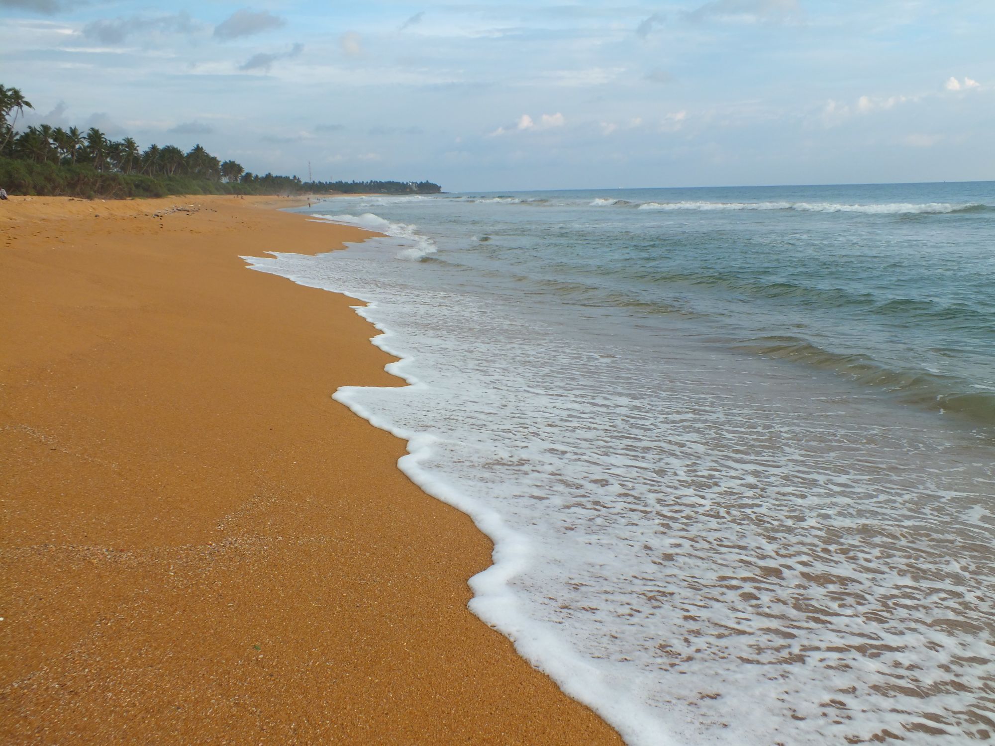Aditya Resort in Hikkaduwa: beach: