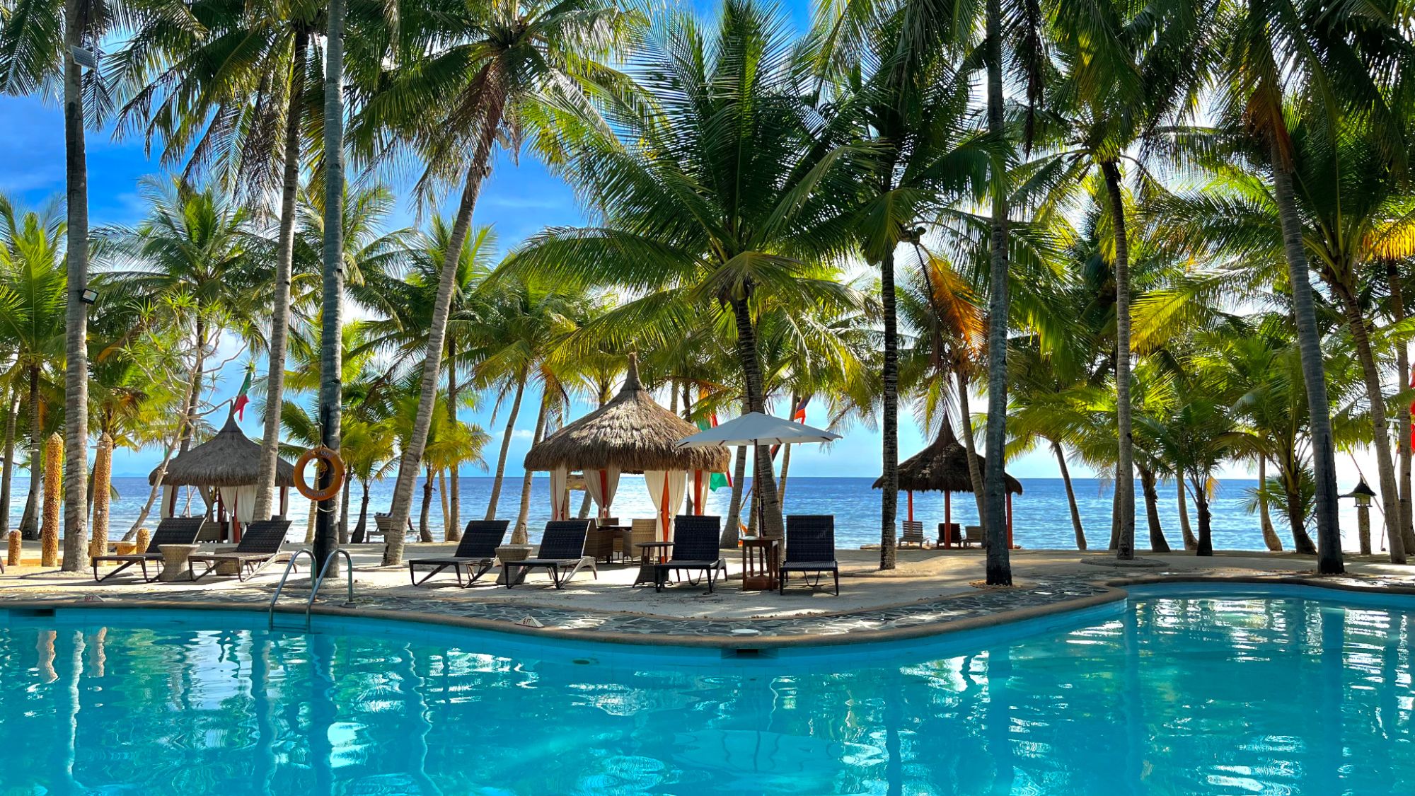 Coco Grove Beach Resort à Siquijor: Olympic Size Pool