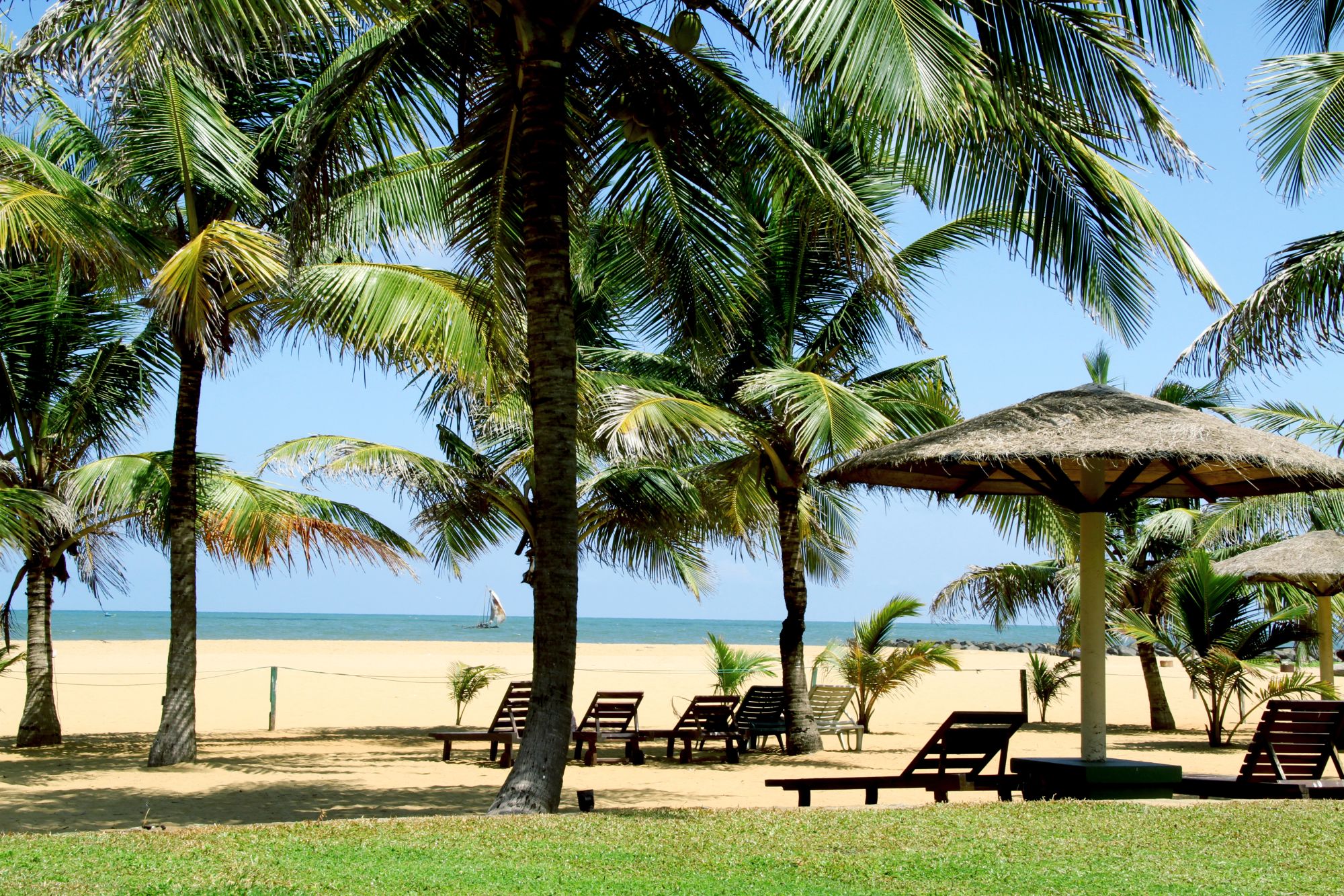 Goldi Sands in Negombo: beach:
