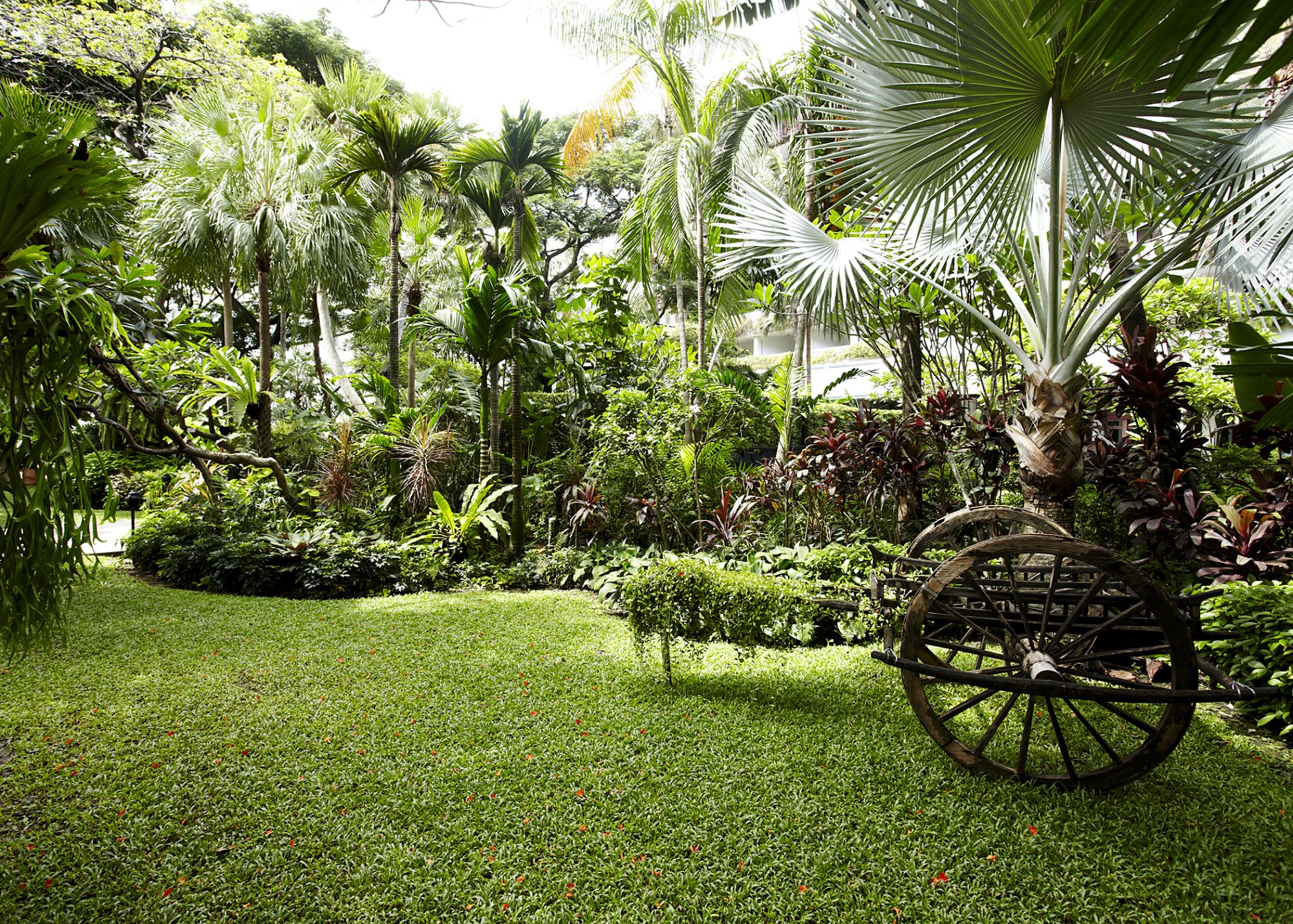 Anantara Riverside Bangkok Resort: Garden