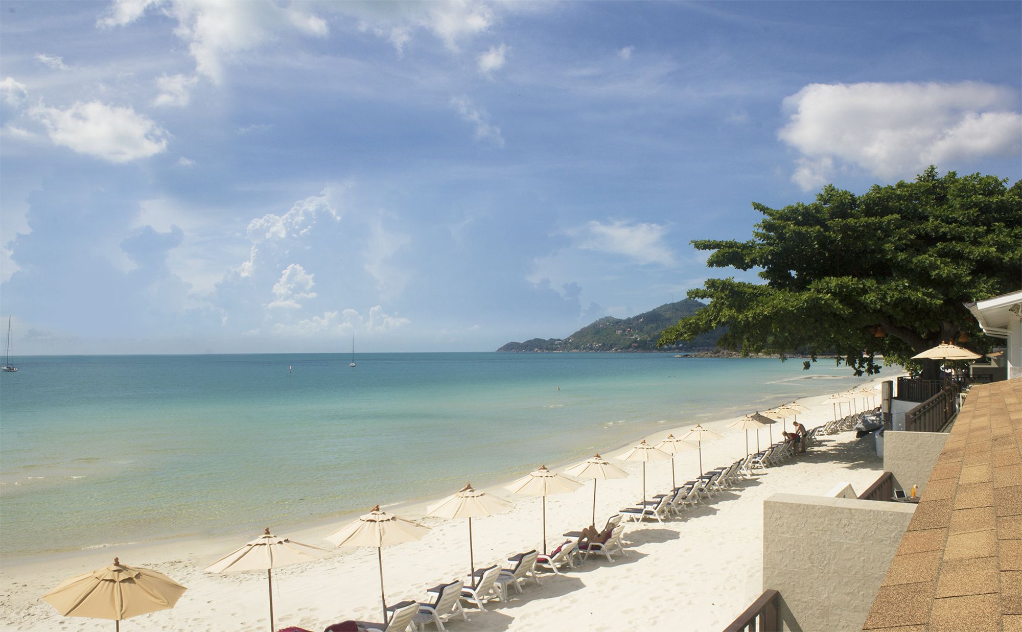 Chaweng Cove Beach Resort in Ko Samui: Beach
