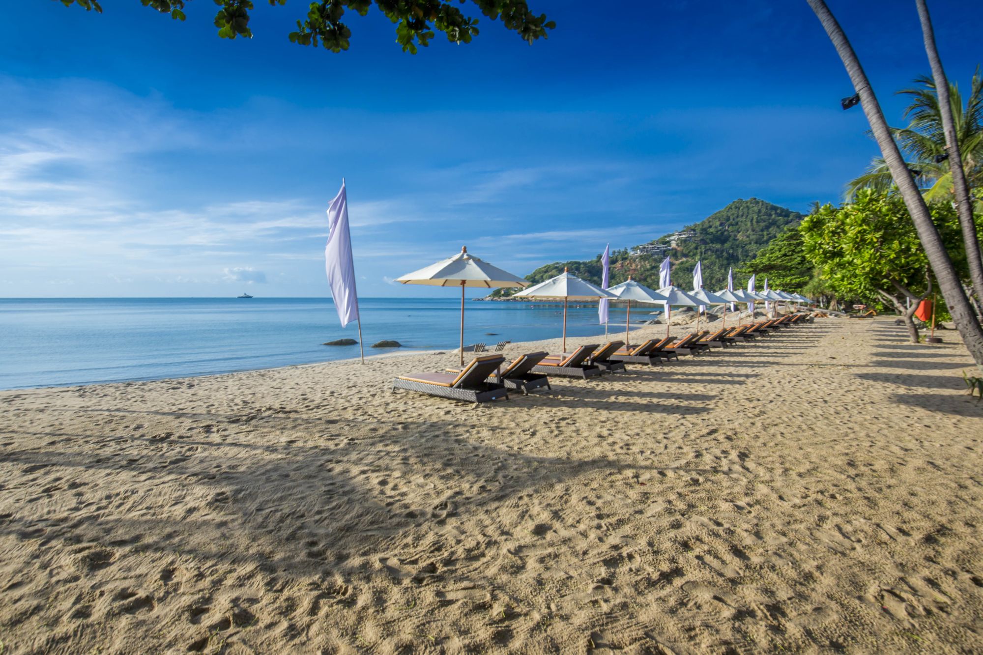 New Star Beach Resort à Ko Samui: Beach Area