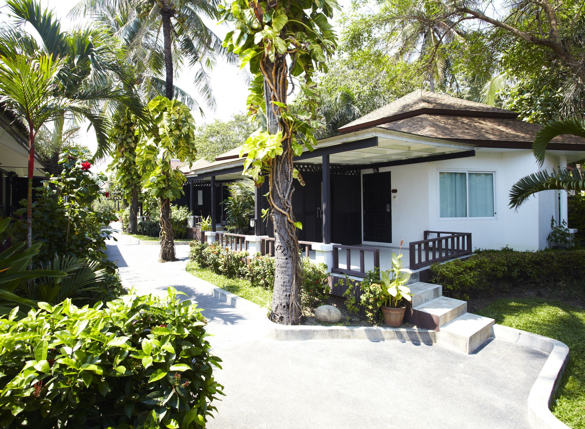 Chaweng Cove Beach Resort in Ko Samui: Deluxe Garden Bungalow | Exterior