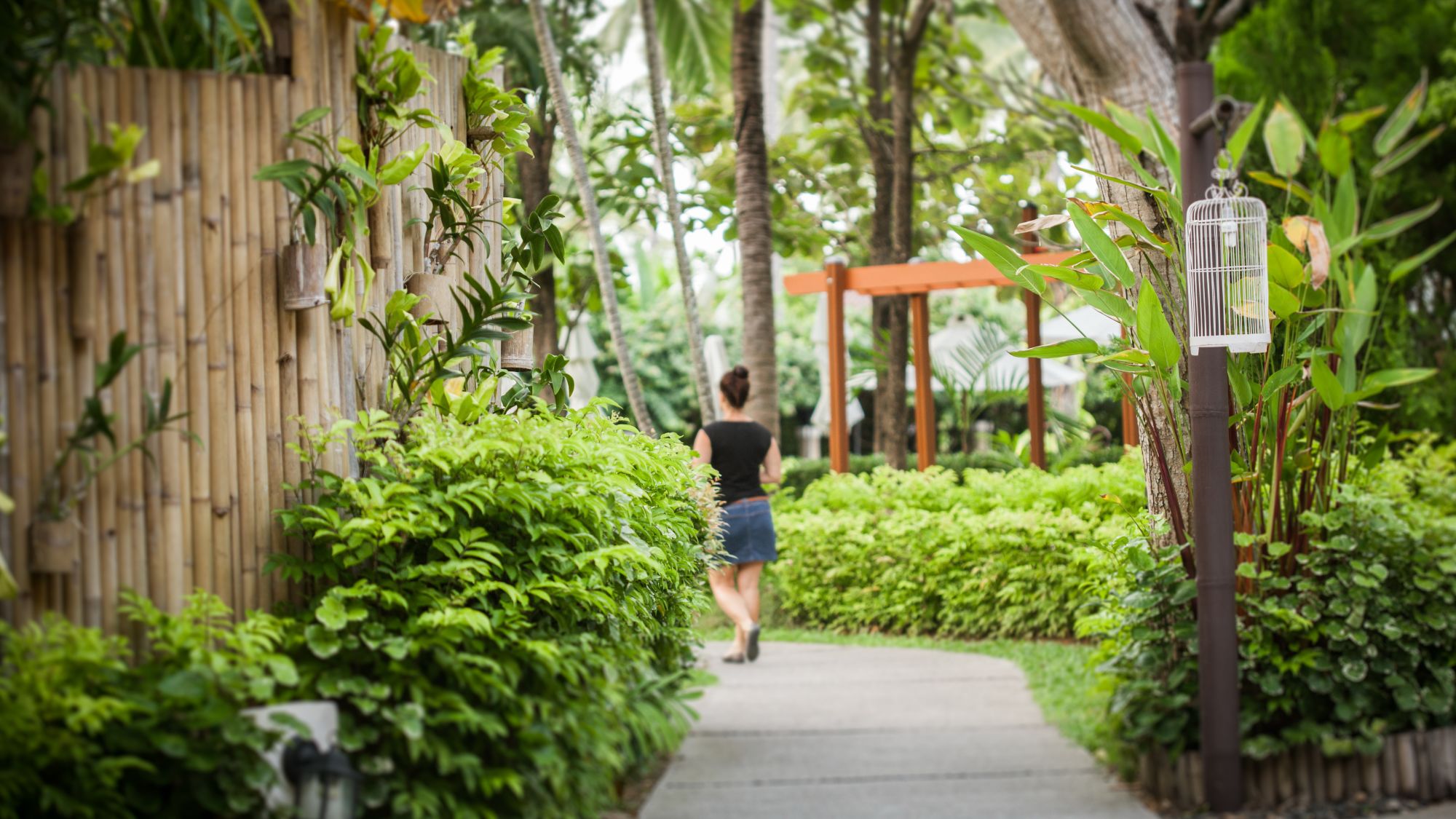 NH Collection Samui Peace Resort in Ko Samui: Garden