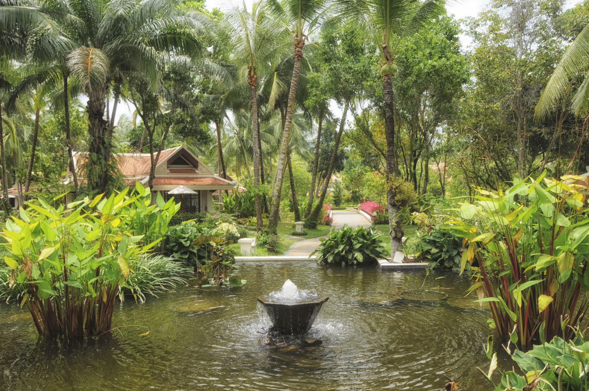 Santiburi Koh Samui in Ko Samui:  Garden