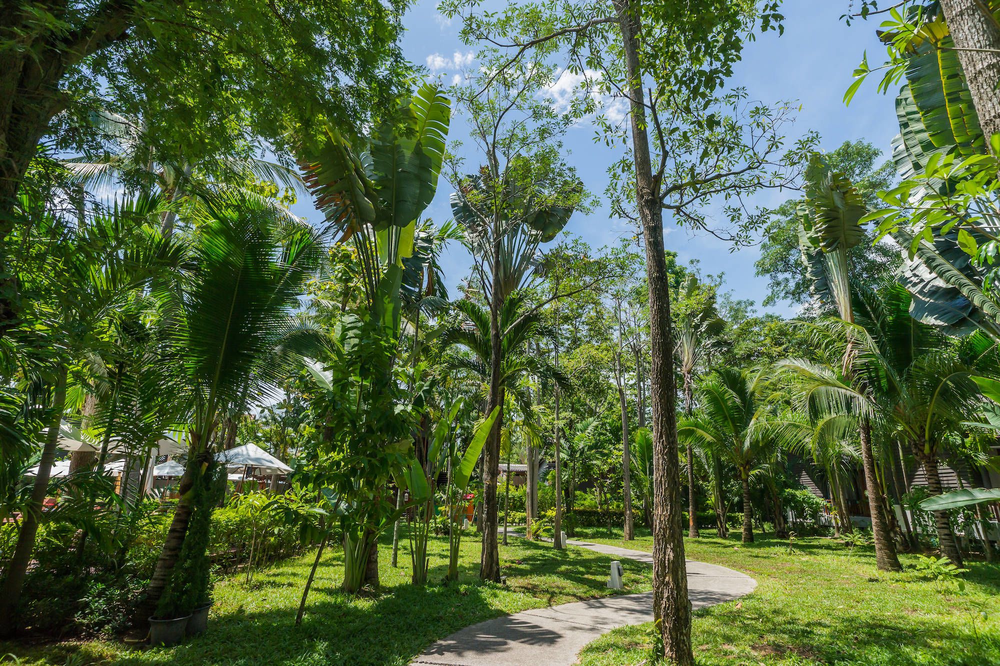 NH Collection Samui Peace Resort in Ko Samui: In the Garden