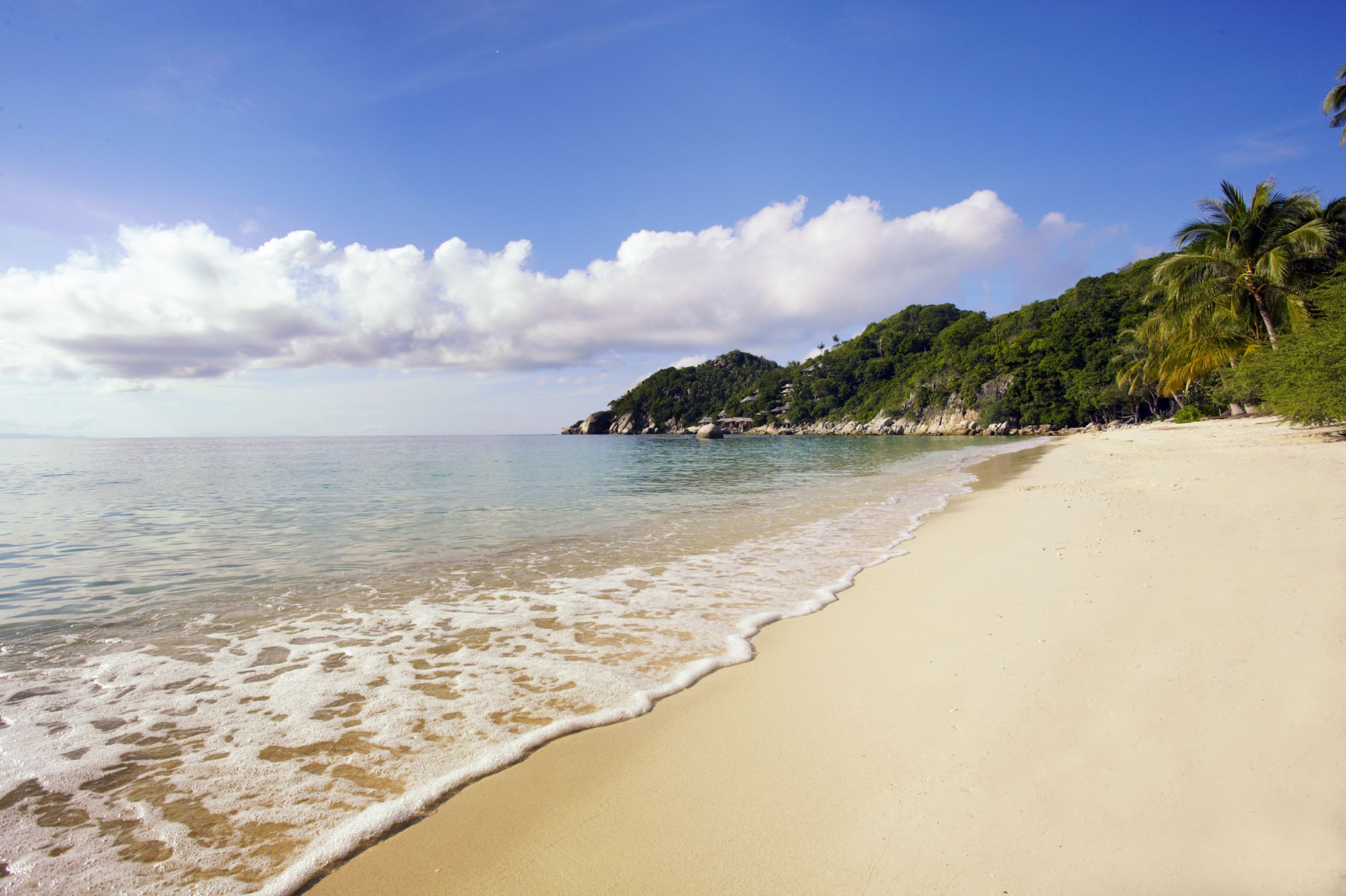 The Haad Tien Beach Resort in Ko Tao: beach: