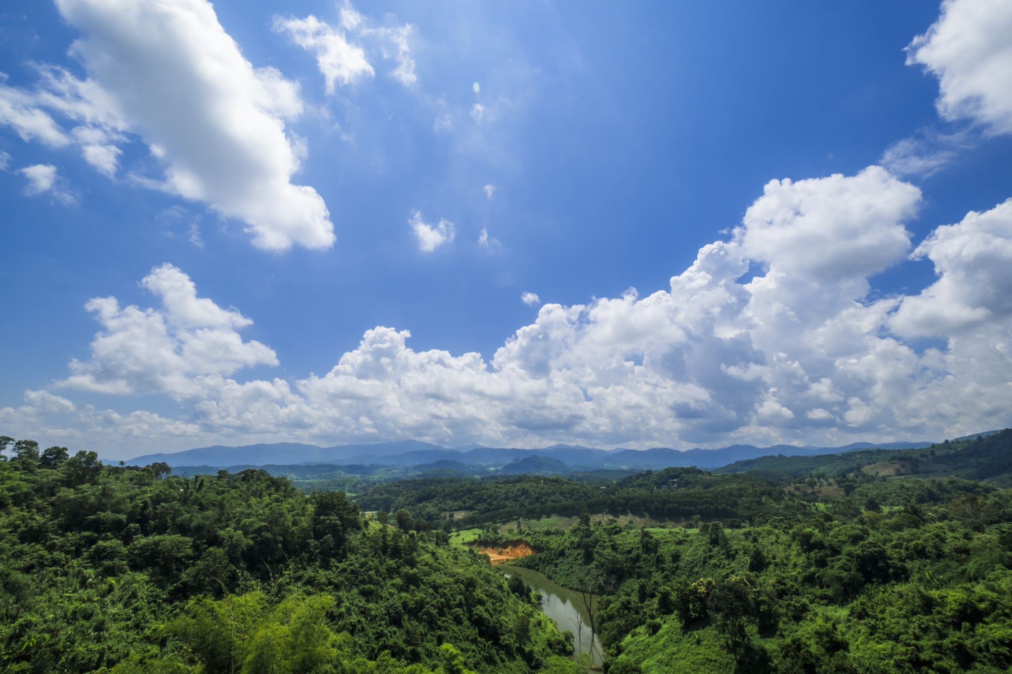 Phu Chaisai Mountain Resort in Mae Chan: Trekking