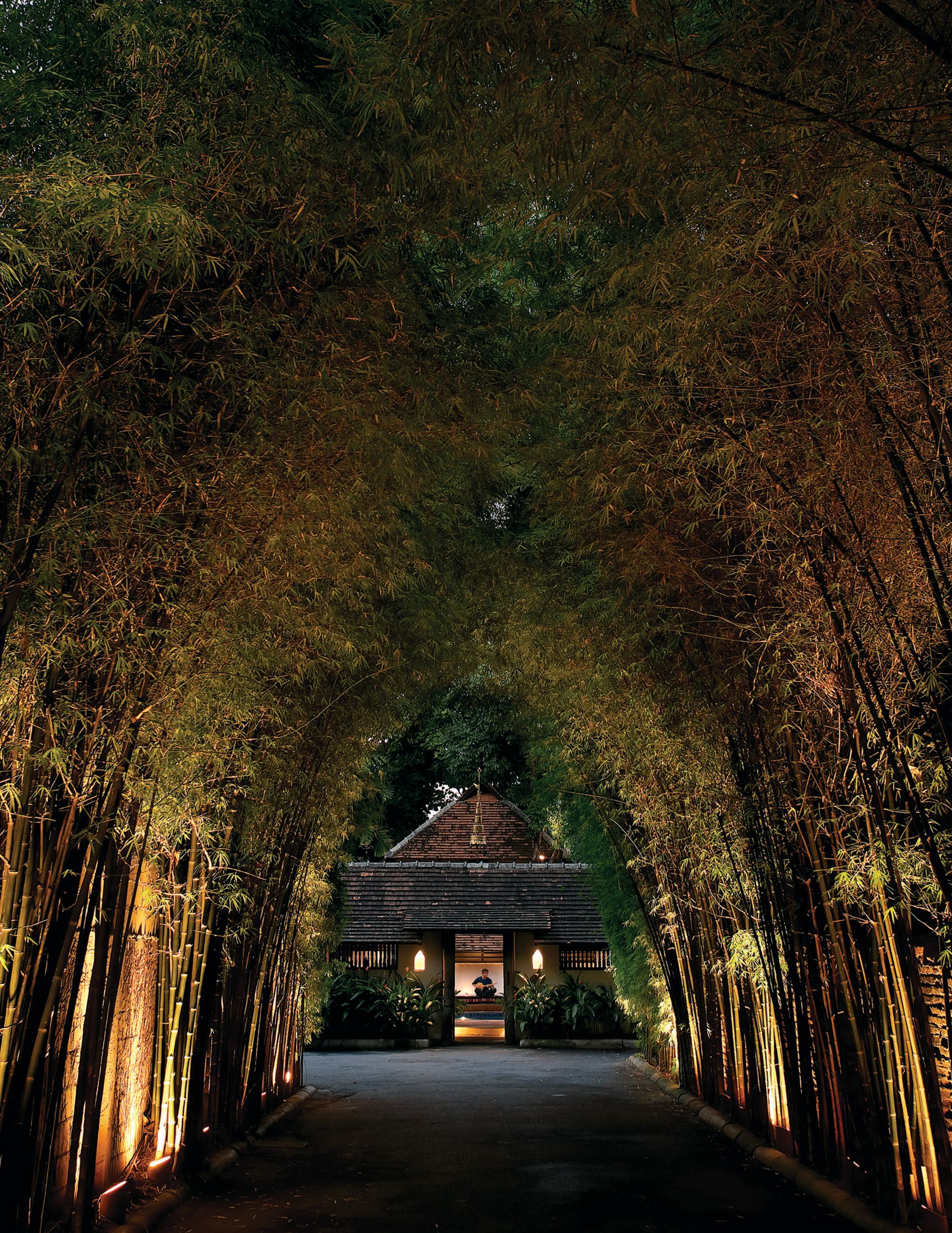 Tamarind Village à Chiang Mai: Bamboo Entrance