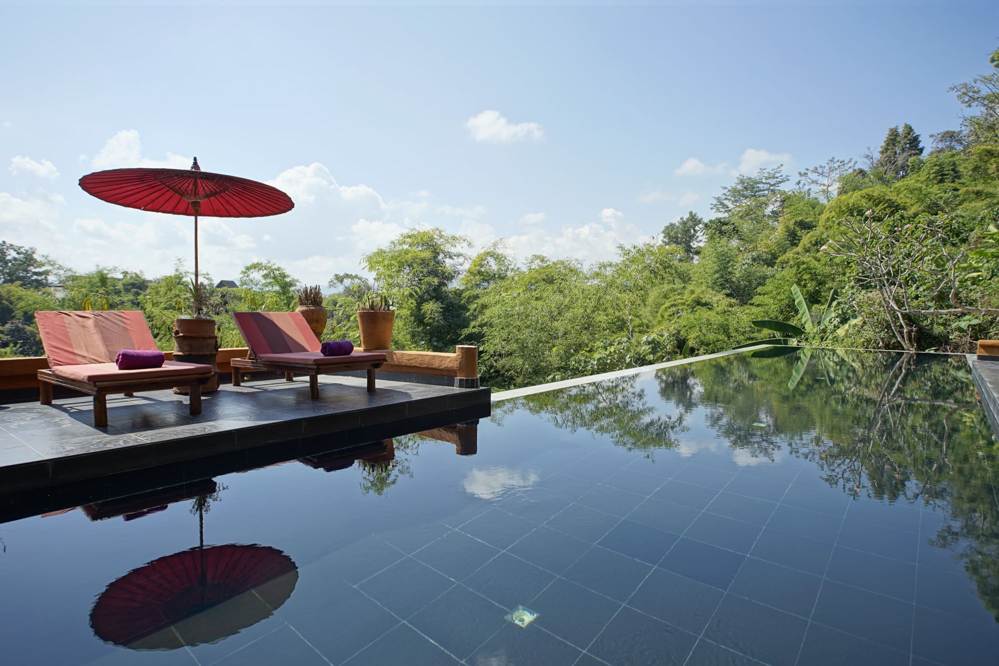 Phu Chaisai Mountain Resort in Mae Chan: Pool