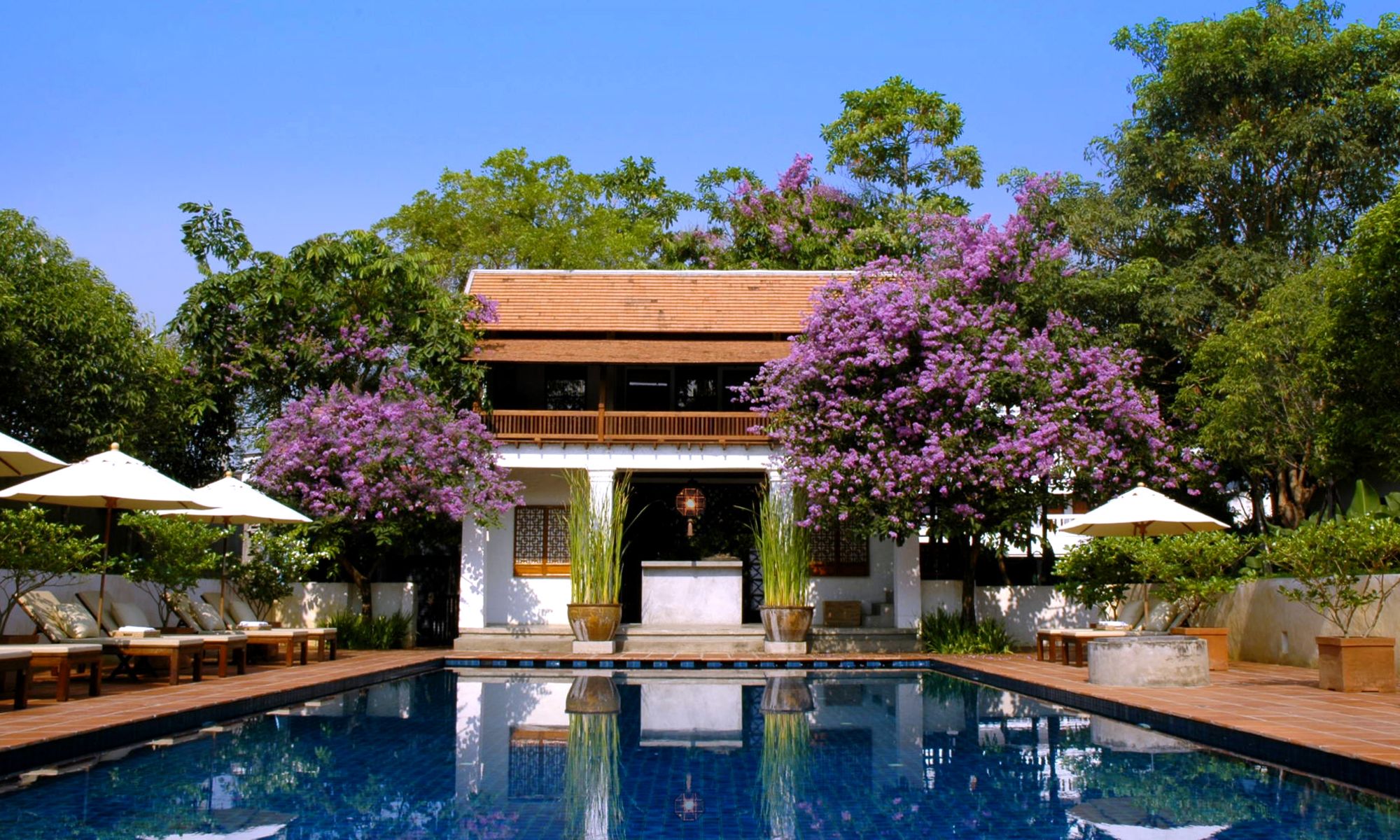 Rachamankha à Chiang Mai: Pool Summer