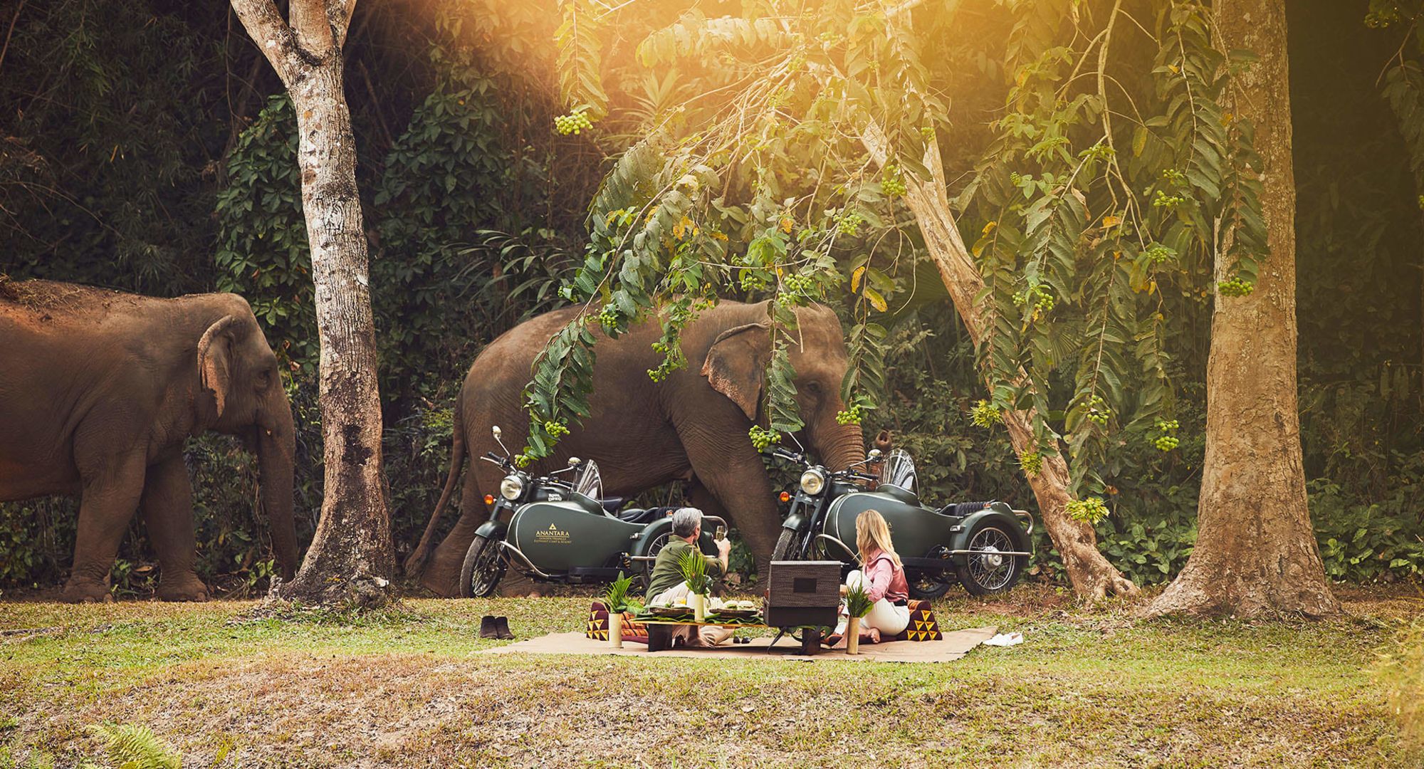 Anantara Golden Triangle Elephant Camp & Resort à Triangle d'Or: Picknick with Elephants