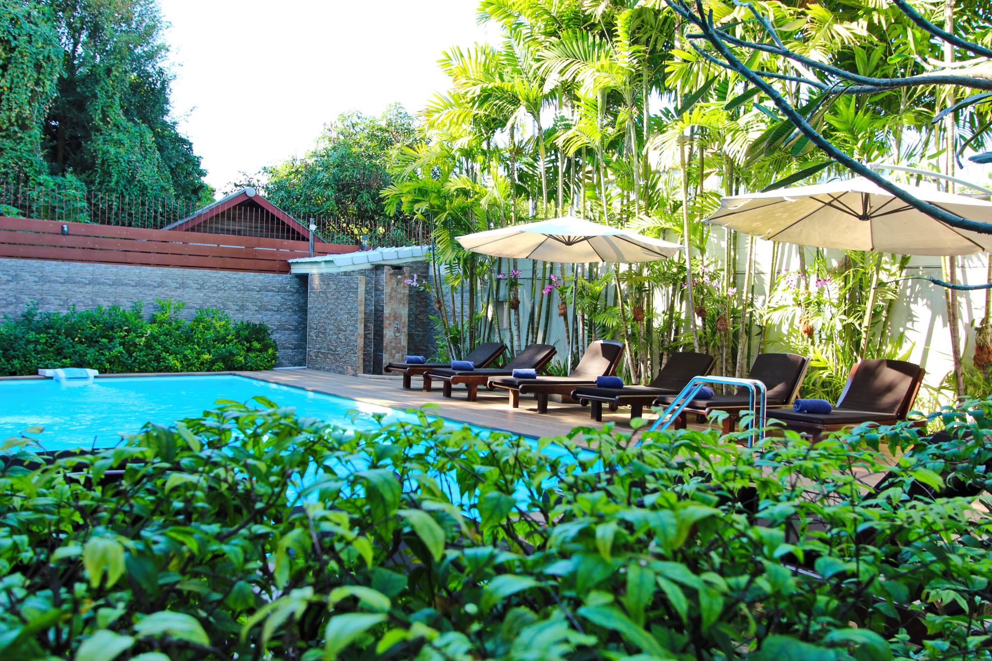 Shewe Wana Suite Resort in Chiang Mai:  Pool
