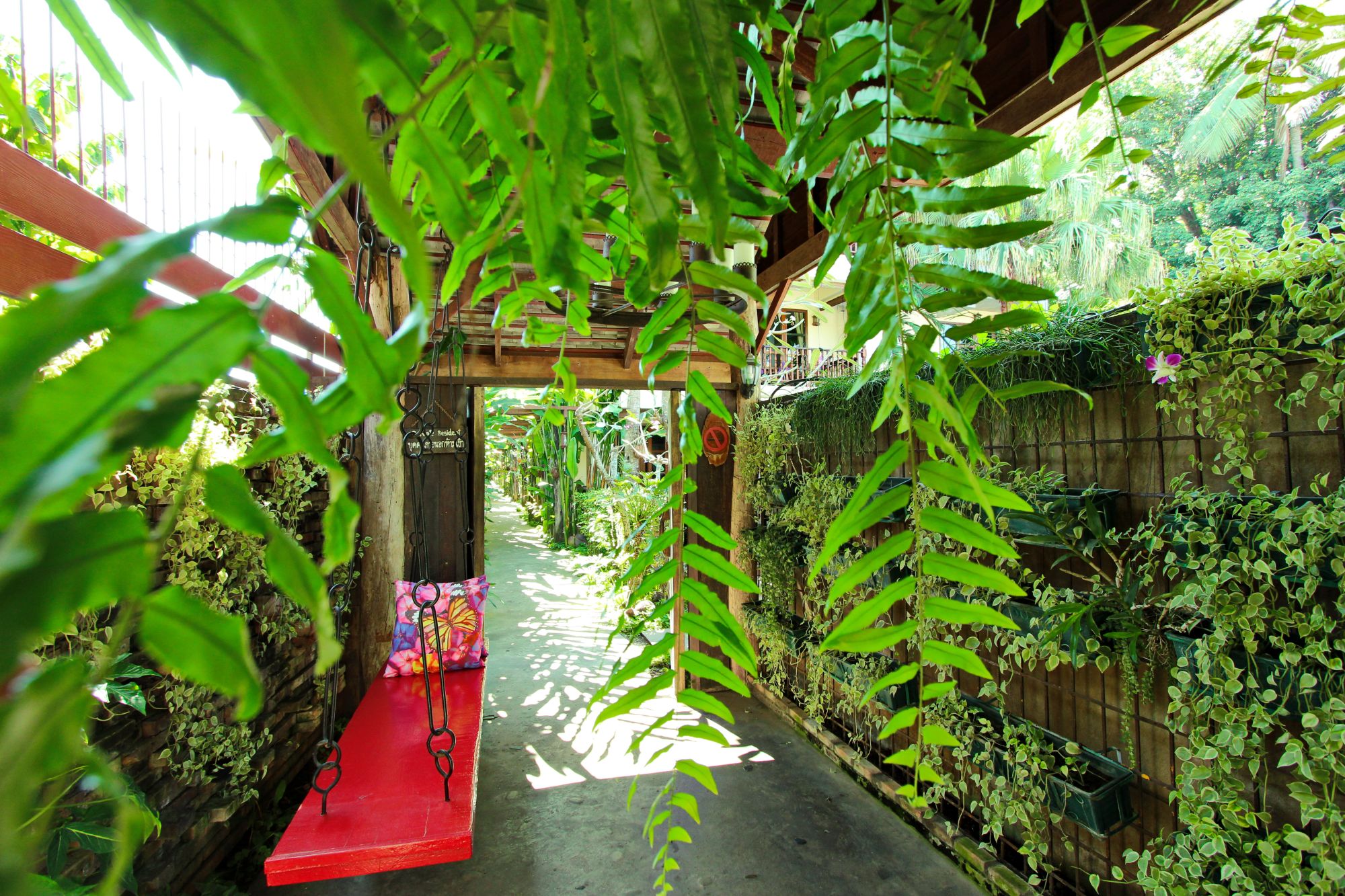 Shewe Wana Suite Resort in Chiang Mai:  Walkway