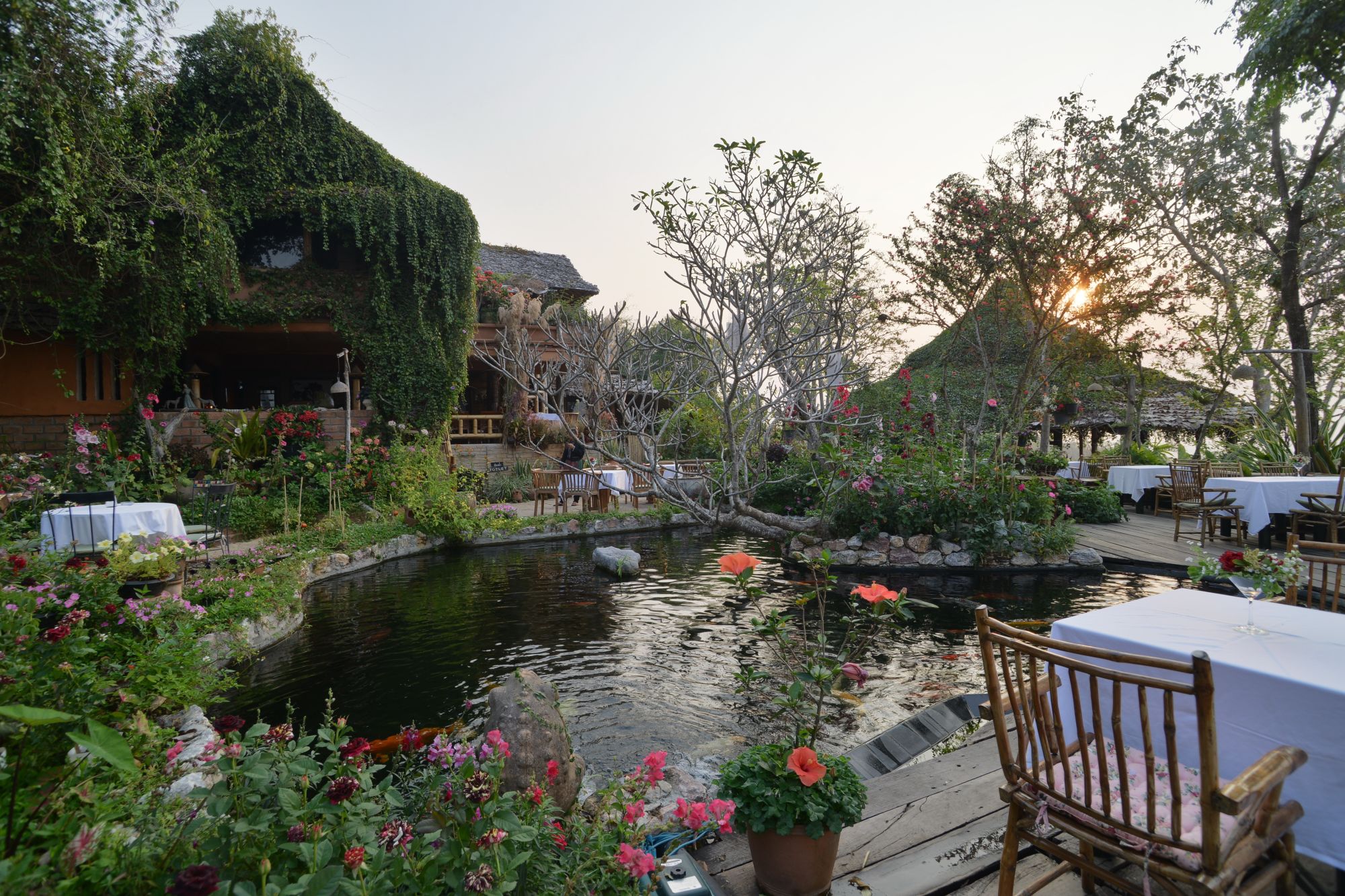 Phu Chaisai Mountain Resort in Mae Chan: Restaurant outside area