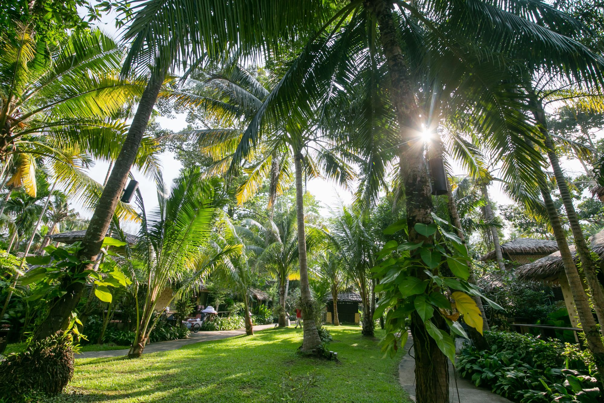 Centara Koh Chang Tropicana à Ko Chang:  Garden