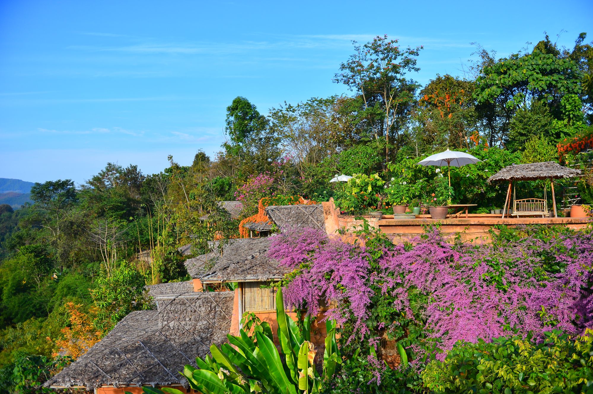 Phu Chaisai Mountain Resort in Mae Chan: Garden View