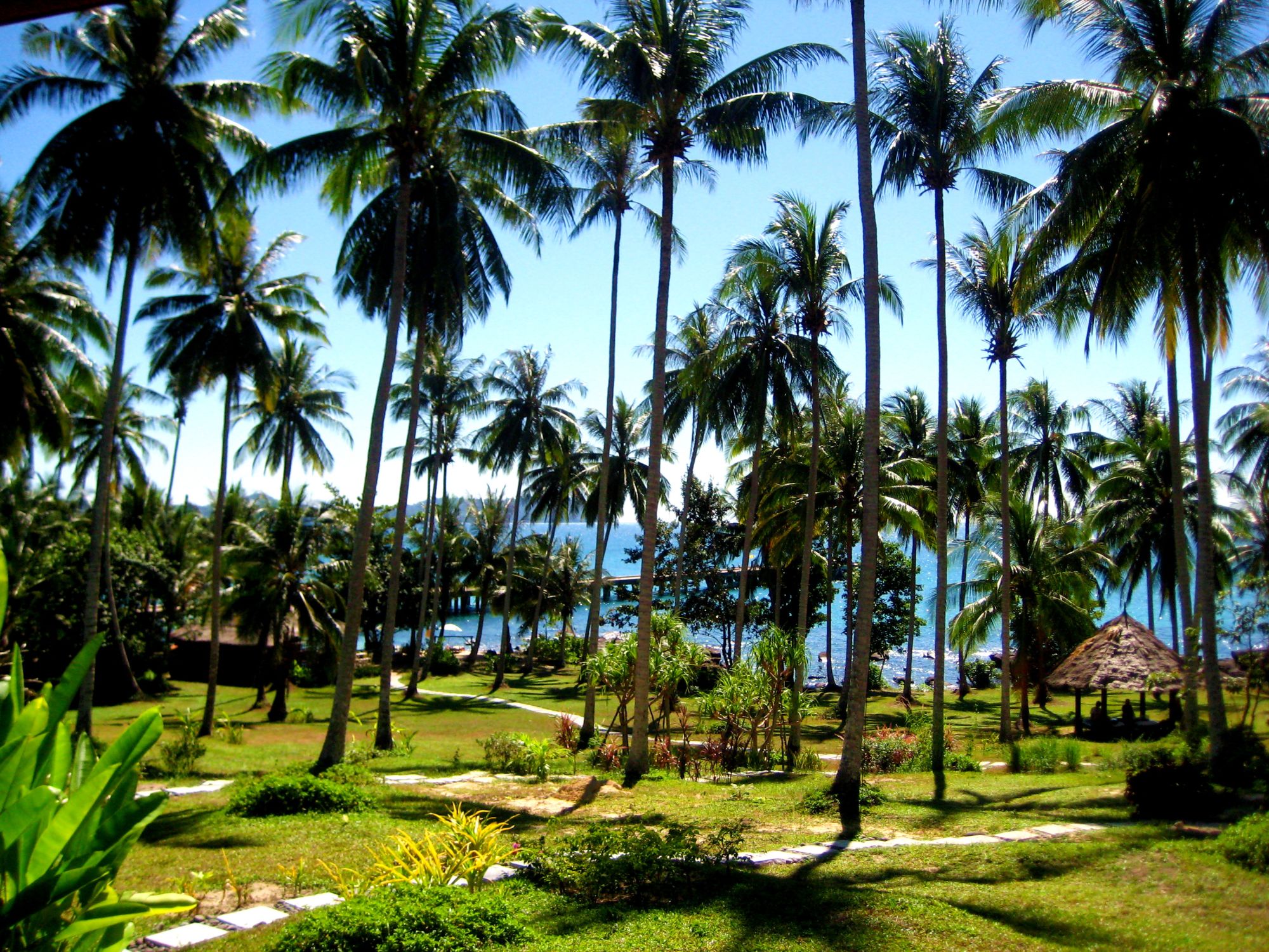 D'île en île dans le golfe de Thaïlande en individuel de Ko Chang: facilities: Shantaa Resort Garden
