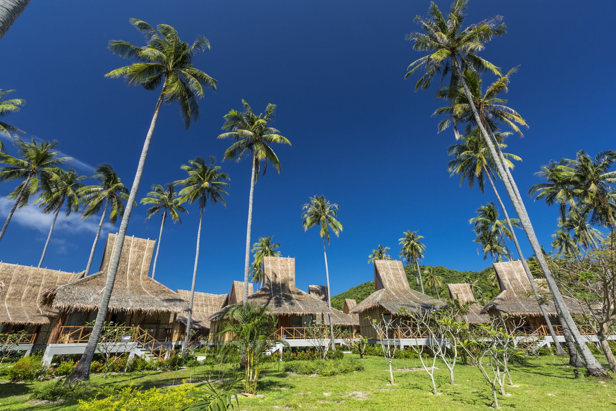 SAii Phi Phi Island Village in Ko Phi Phi: resort area