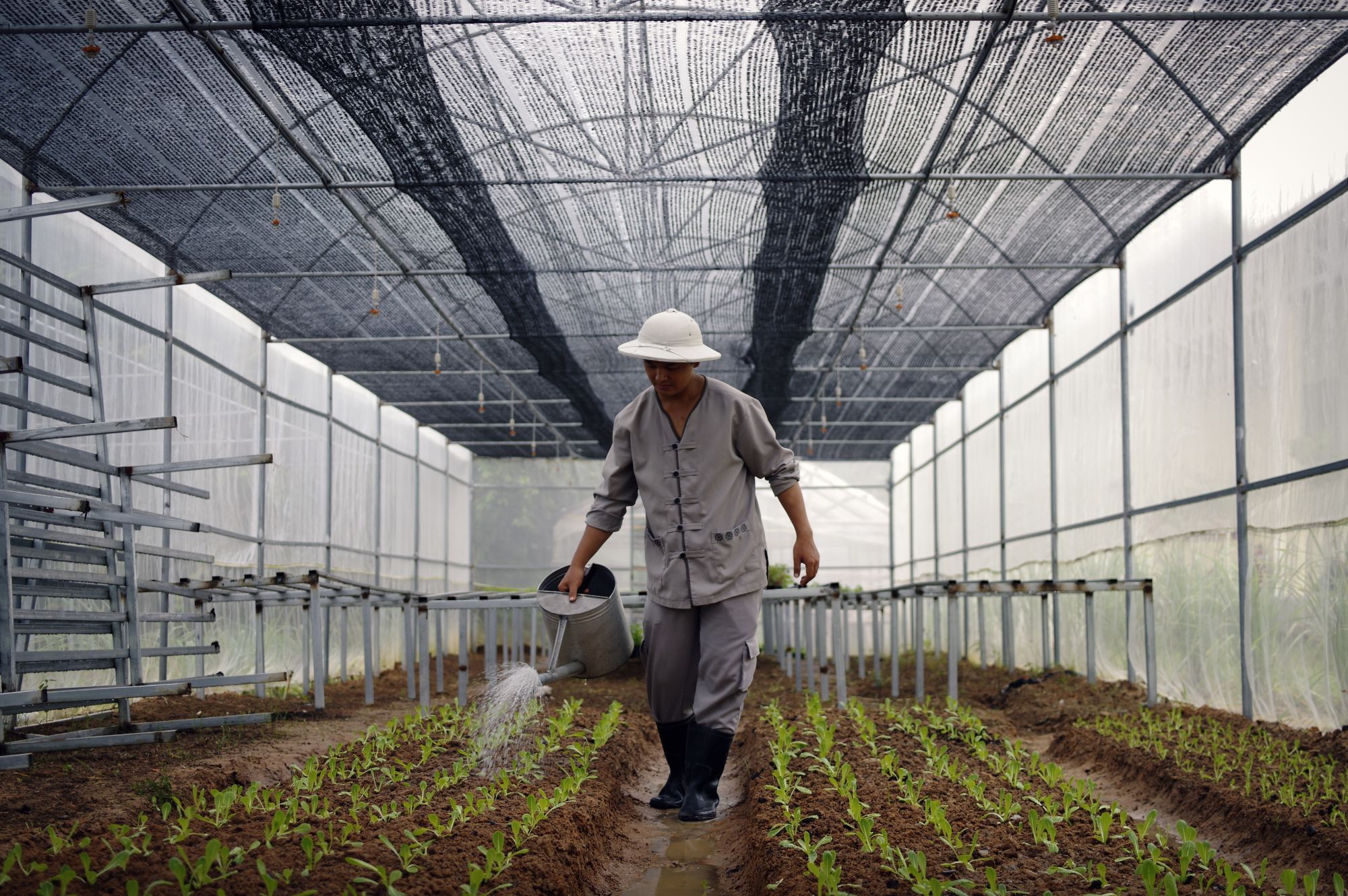 La Veranda Resort in Phu Quoc: Organic Farm