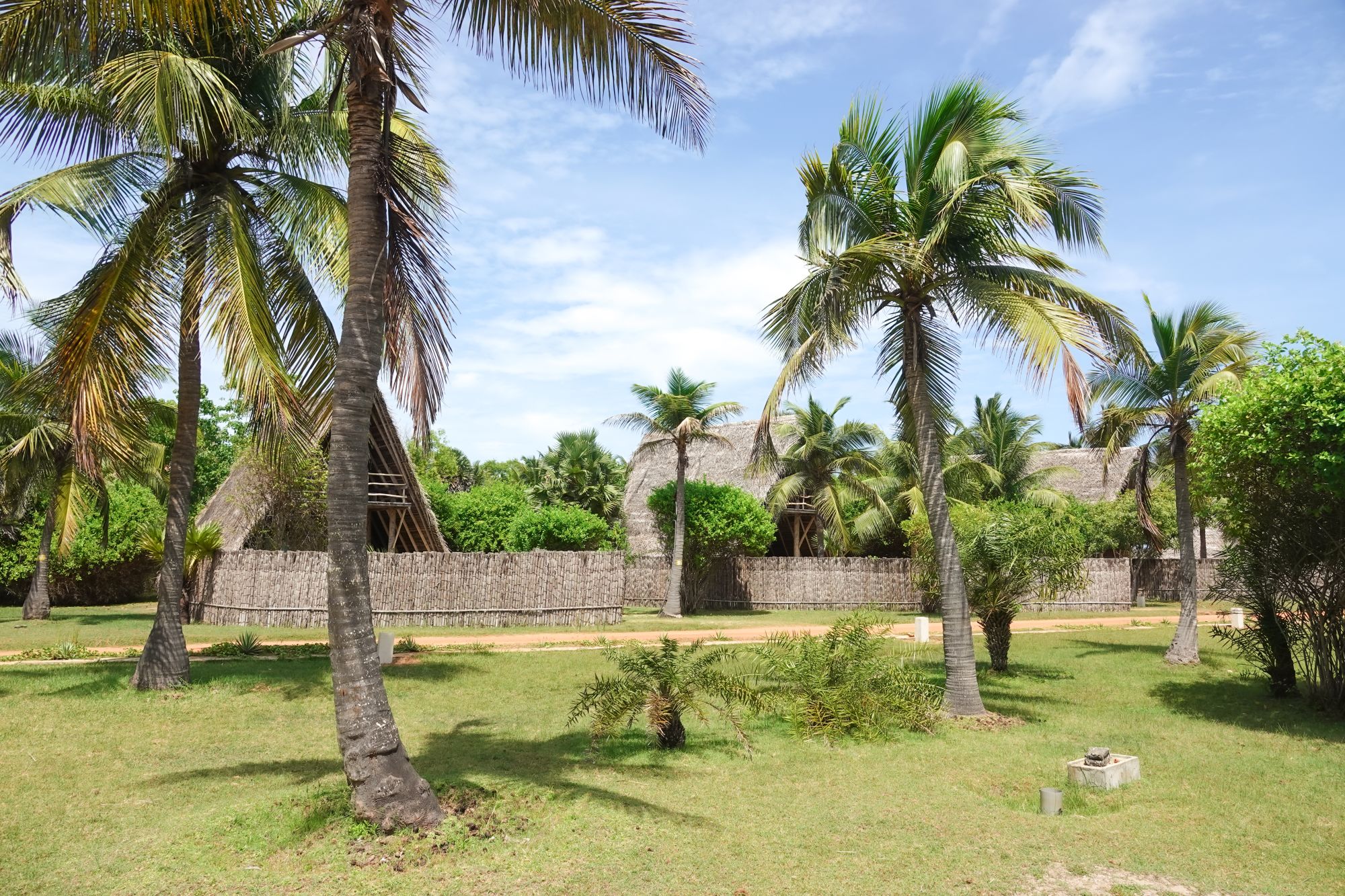 Elements Beach & Nature Resort à Kalpitiya: Palm Tree House