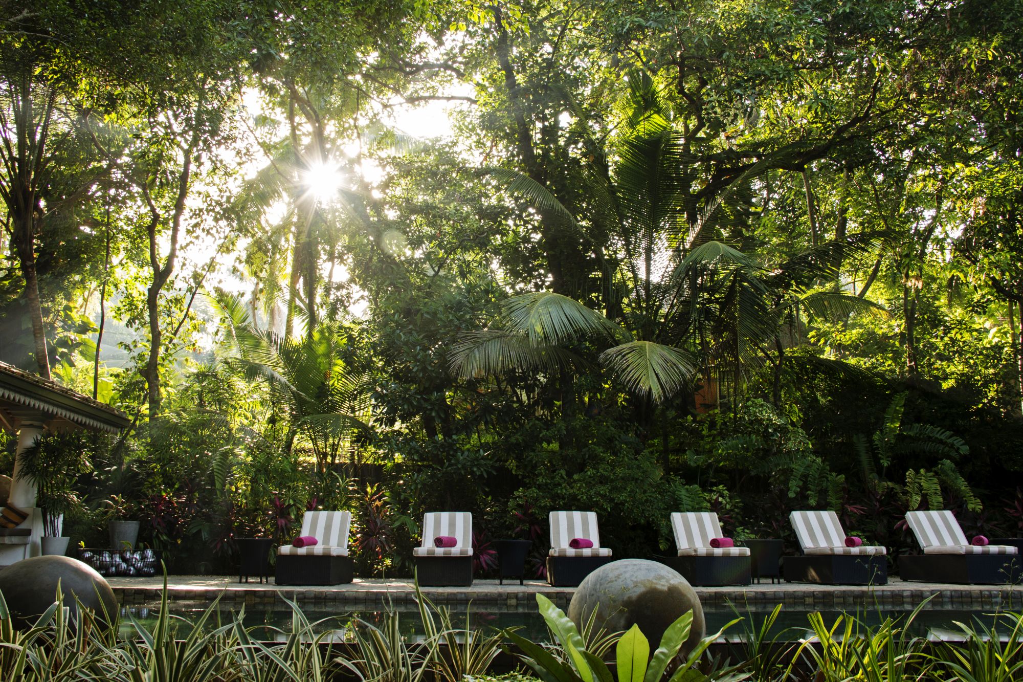 Wallawwa in Colombo: Pool