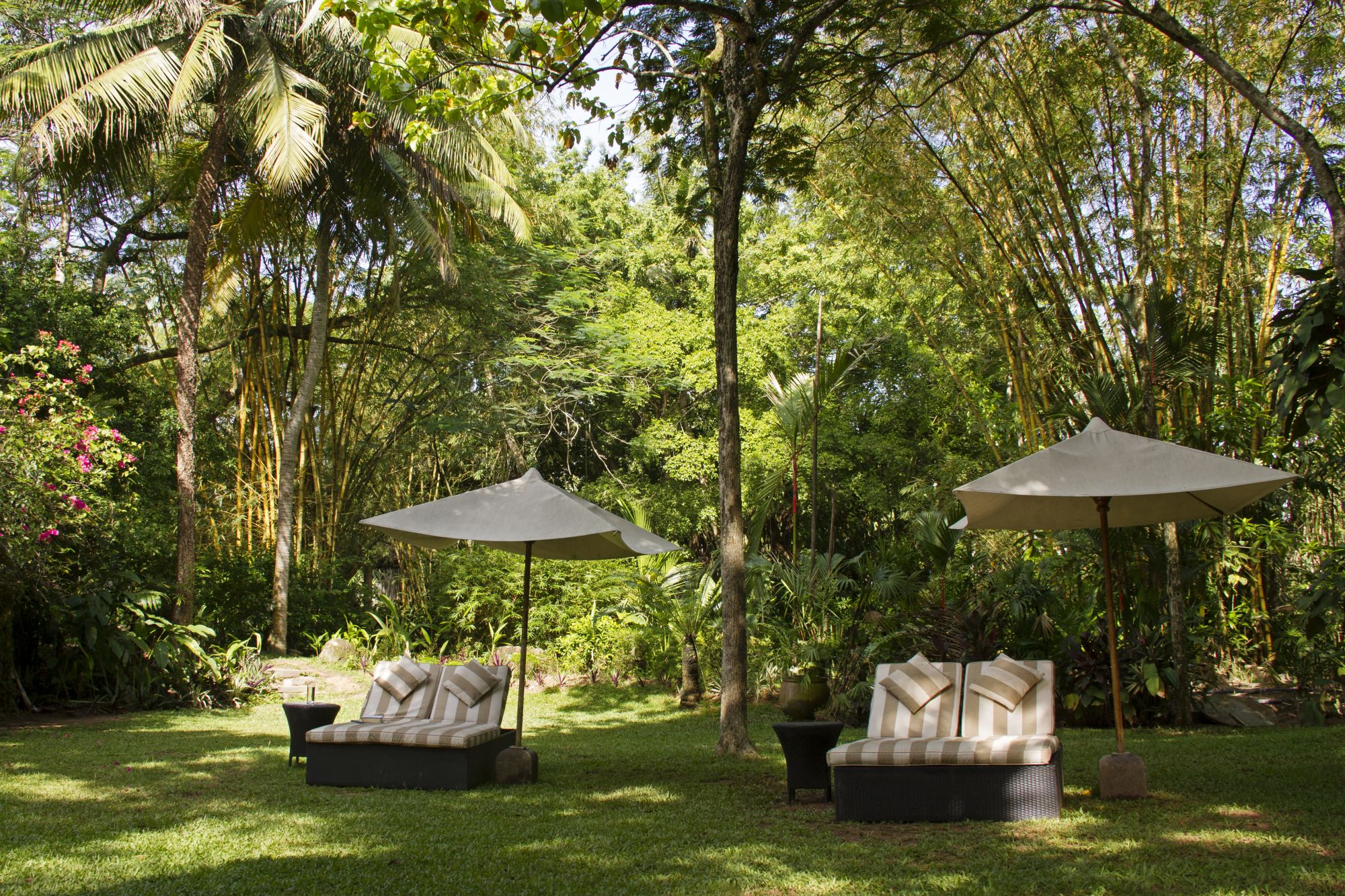 Wallawwa in Colombo: Gardens