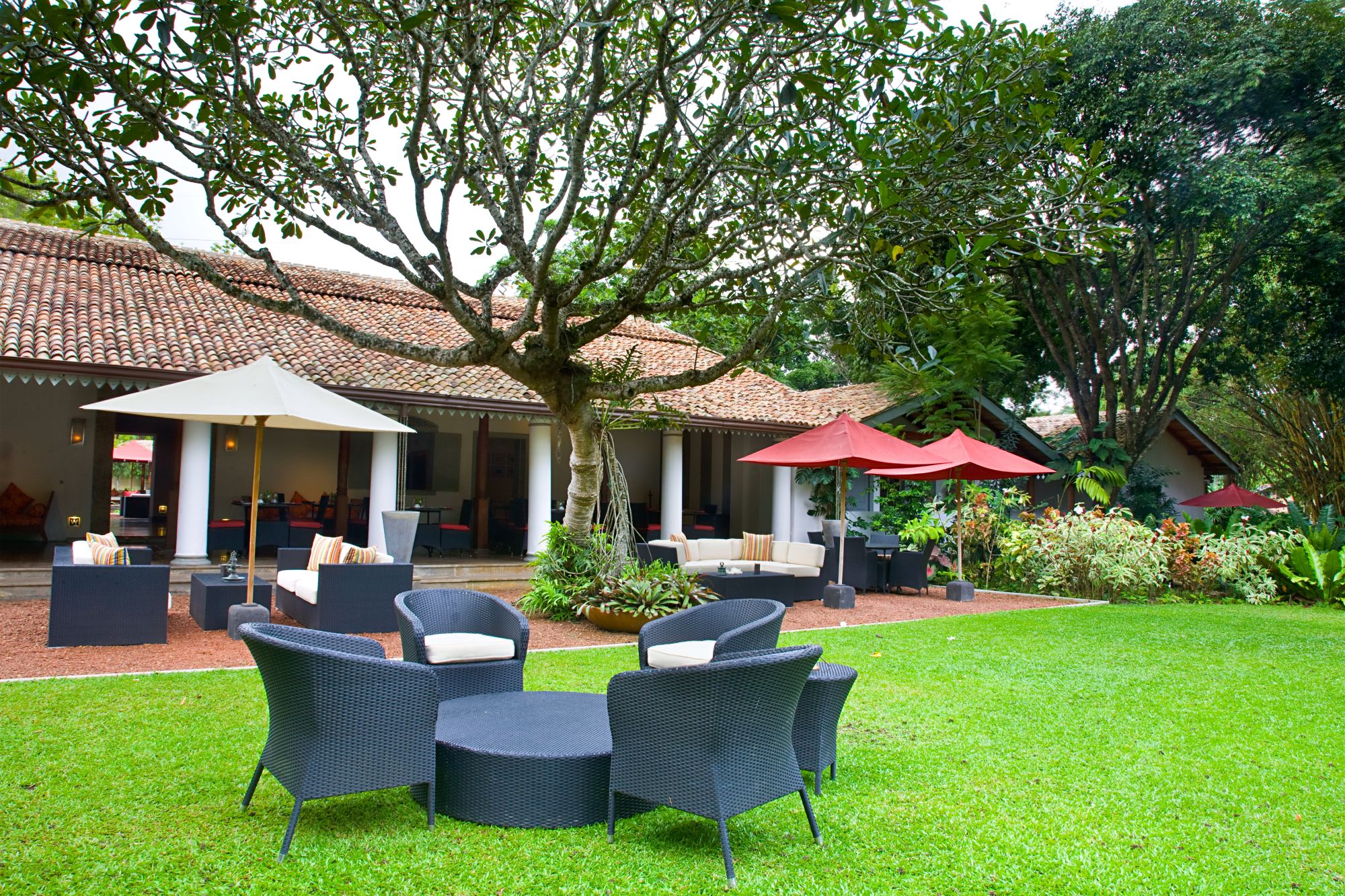 Wallawwa in Colombo: The Wallawwa - Garden