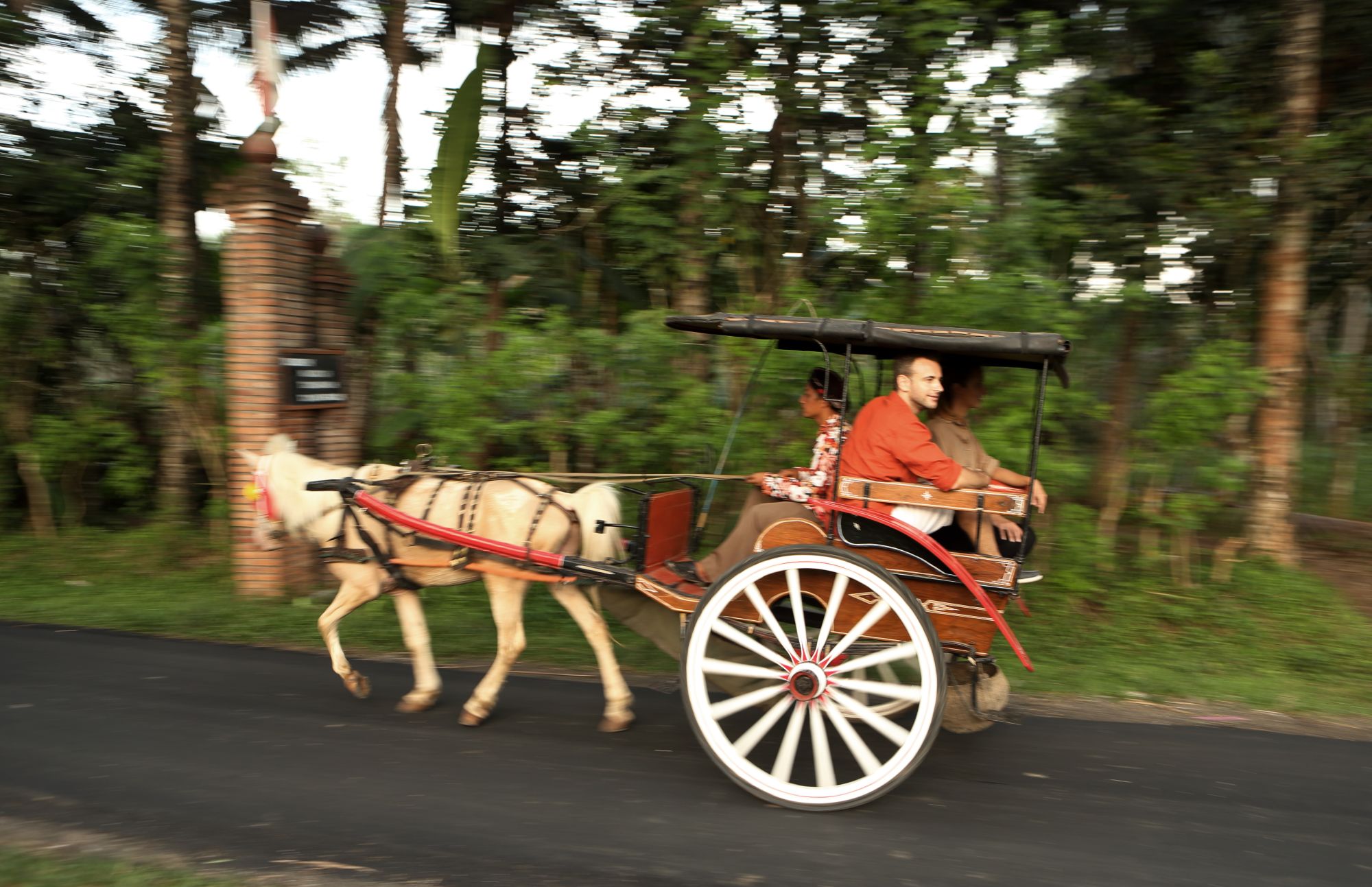 Plataran Borobudur Resort & Spa in Yogyakarta: Carriage Tour